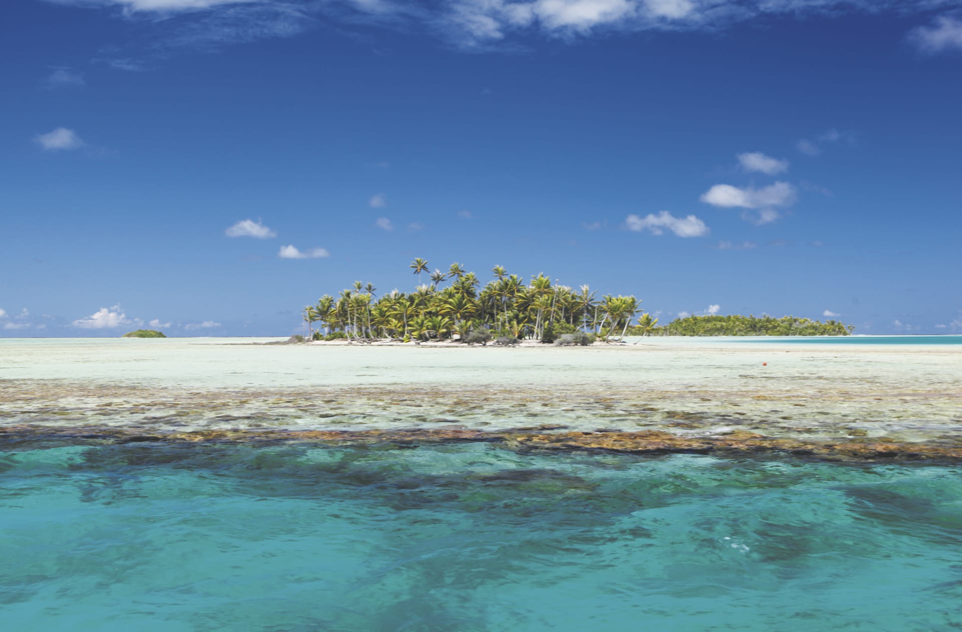 SPC_PPT_135_20140827_PP