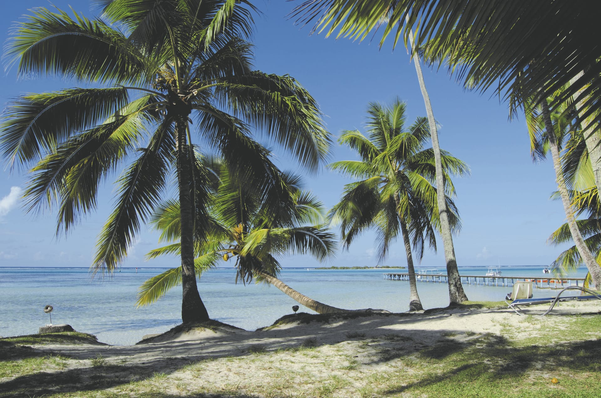 SPC_PPT_150_20150808_PP