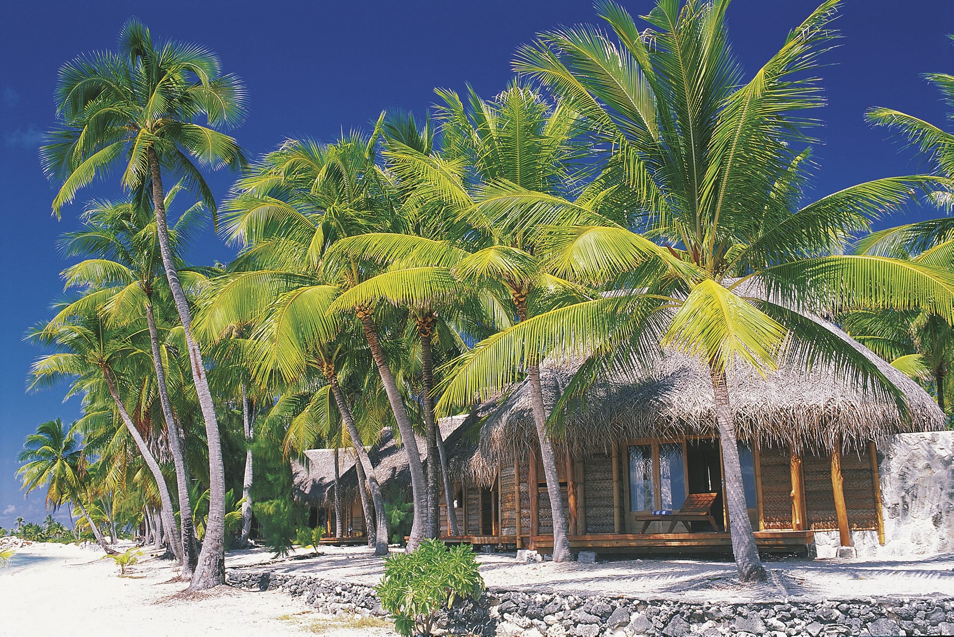 SPC_PPT_157_20070315_BR