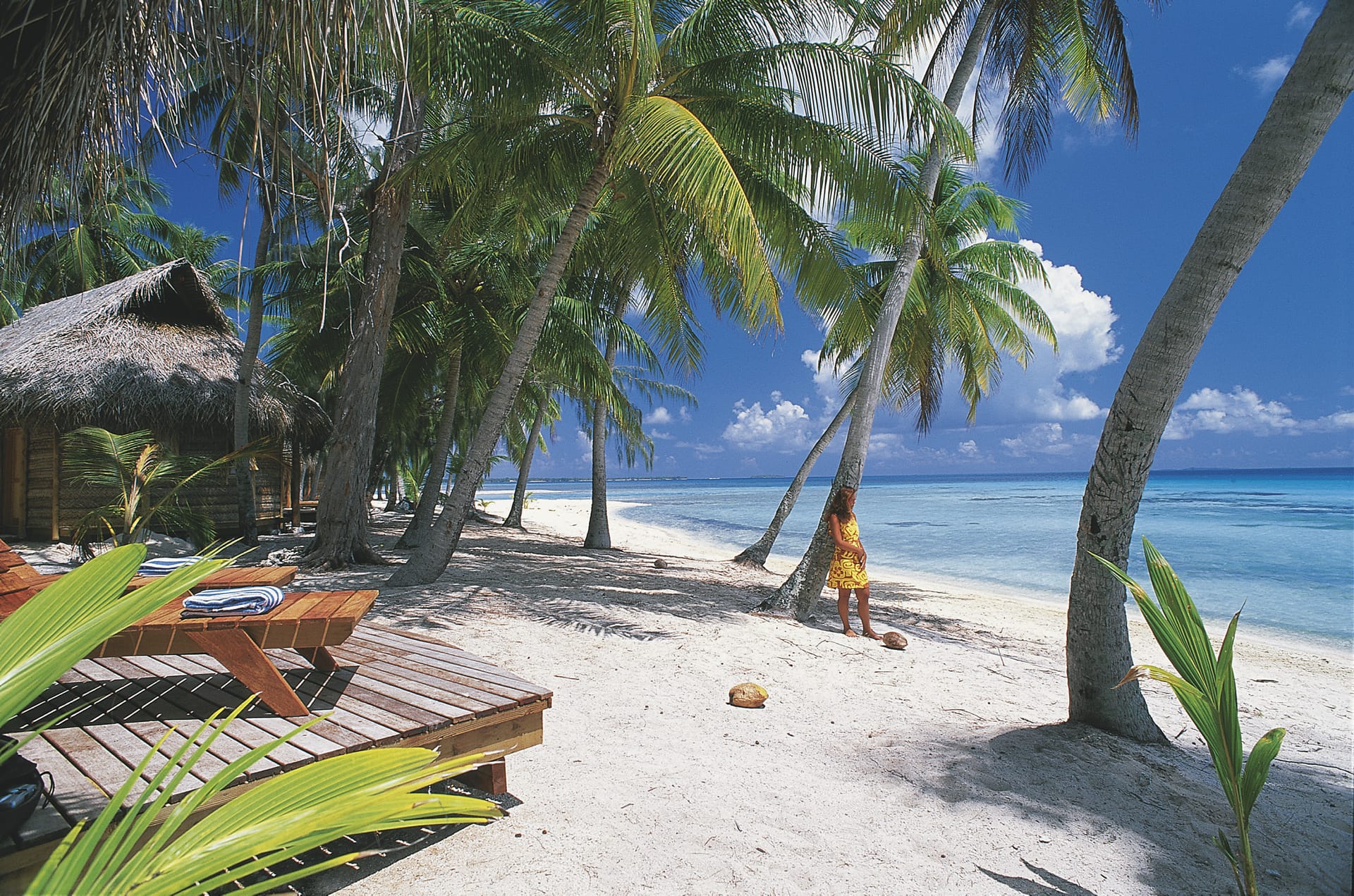 SPC_PPT_160_20070315_BR