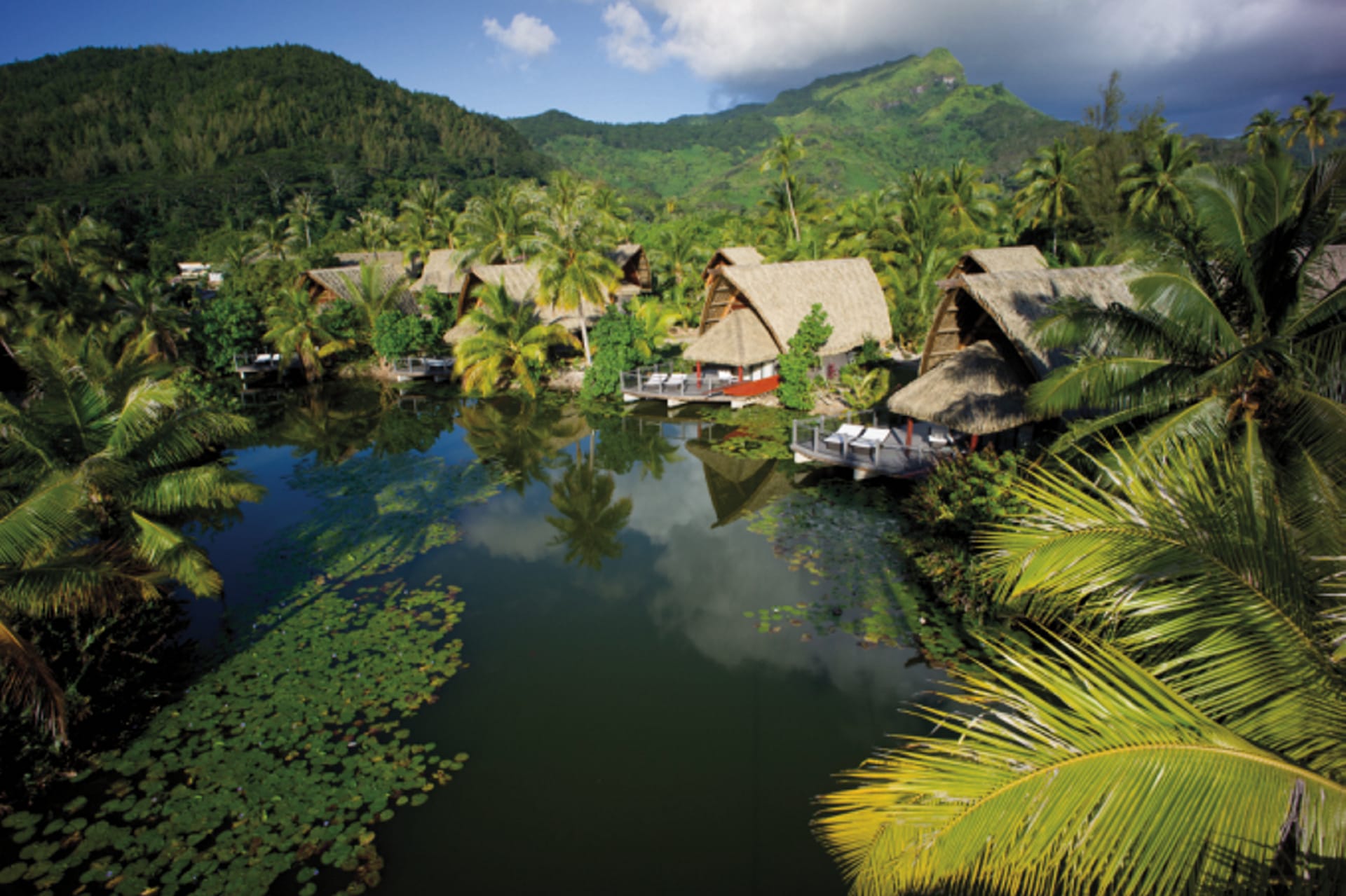 SPC_PPT_161_20111008_KF