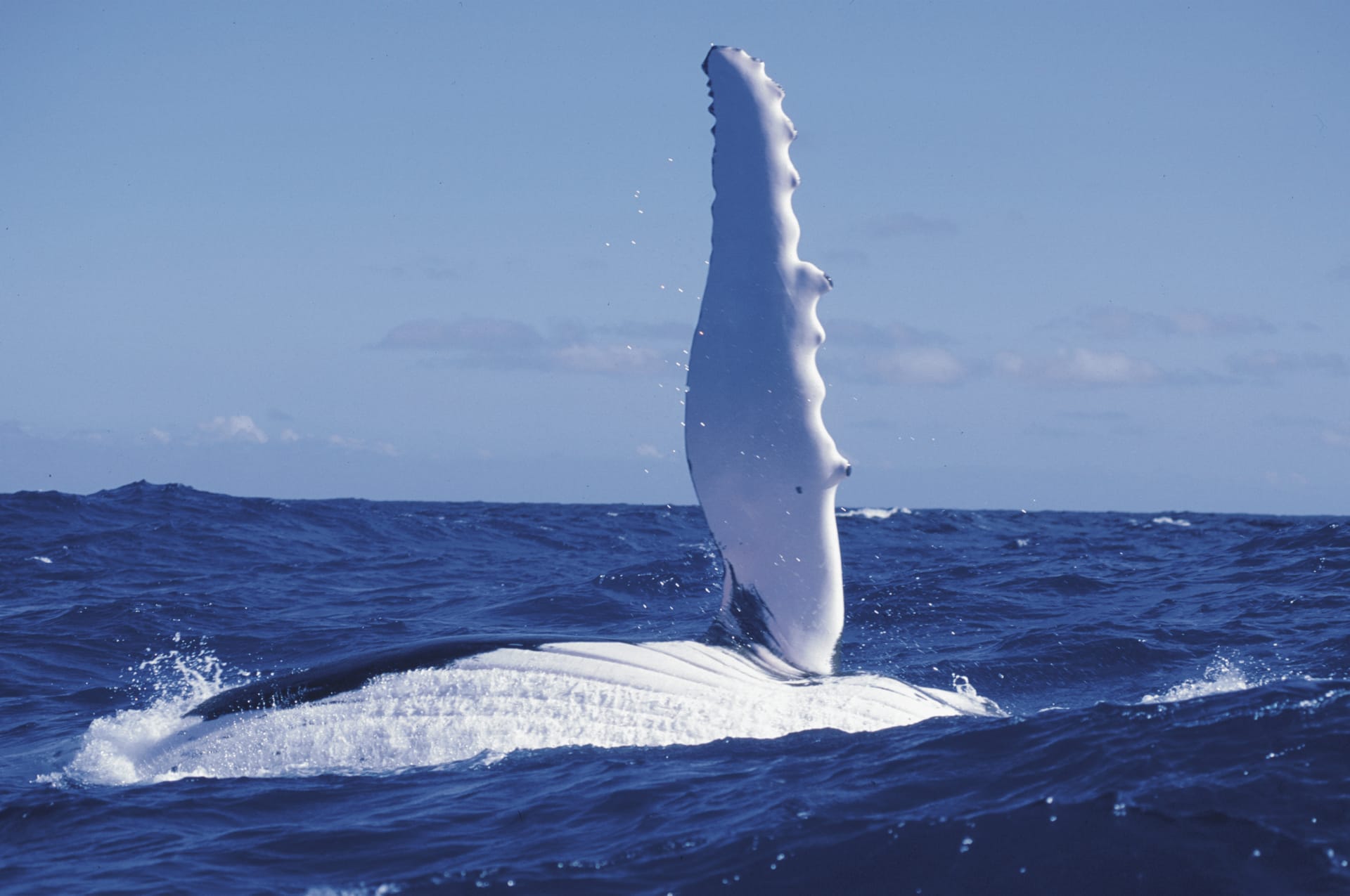 SPC_PPT_163_20101008_SS