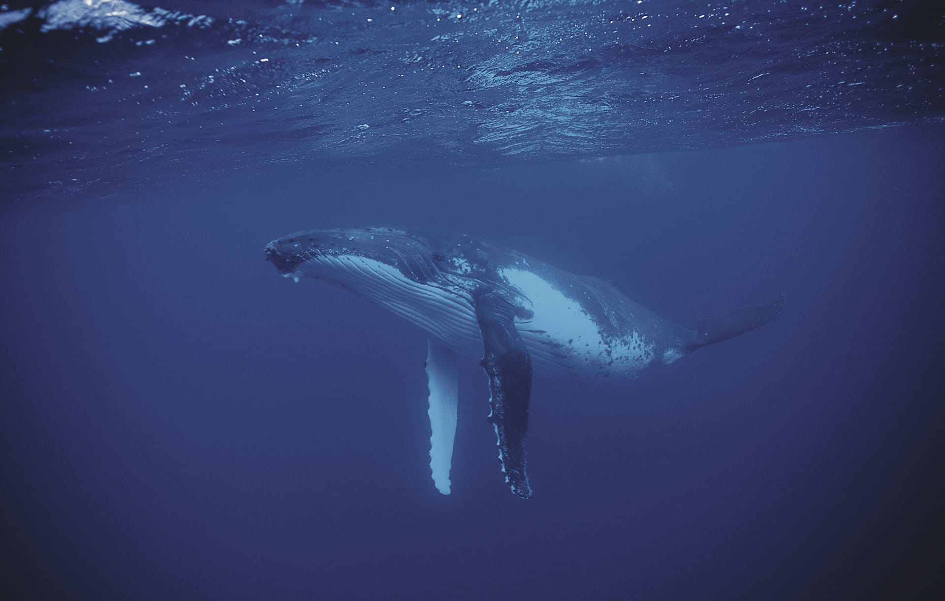 SPC_PPT_165_20101008_SS