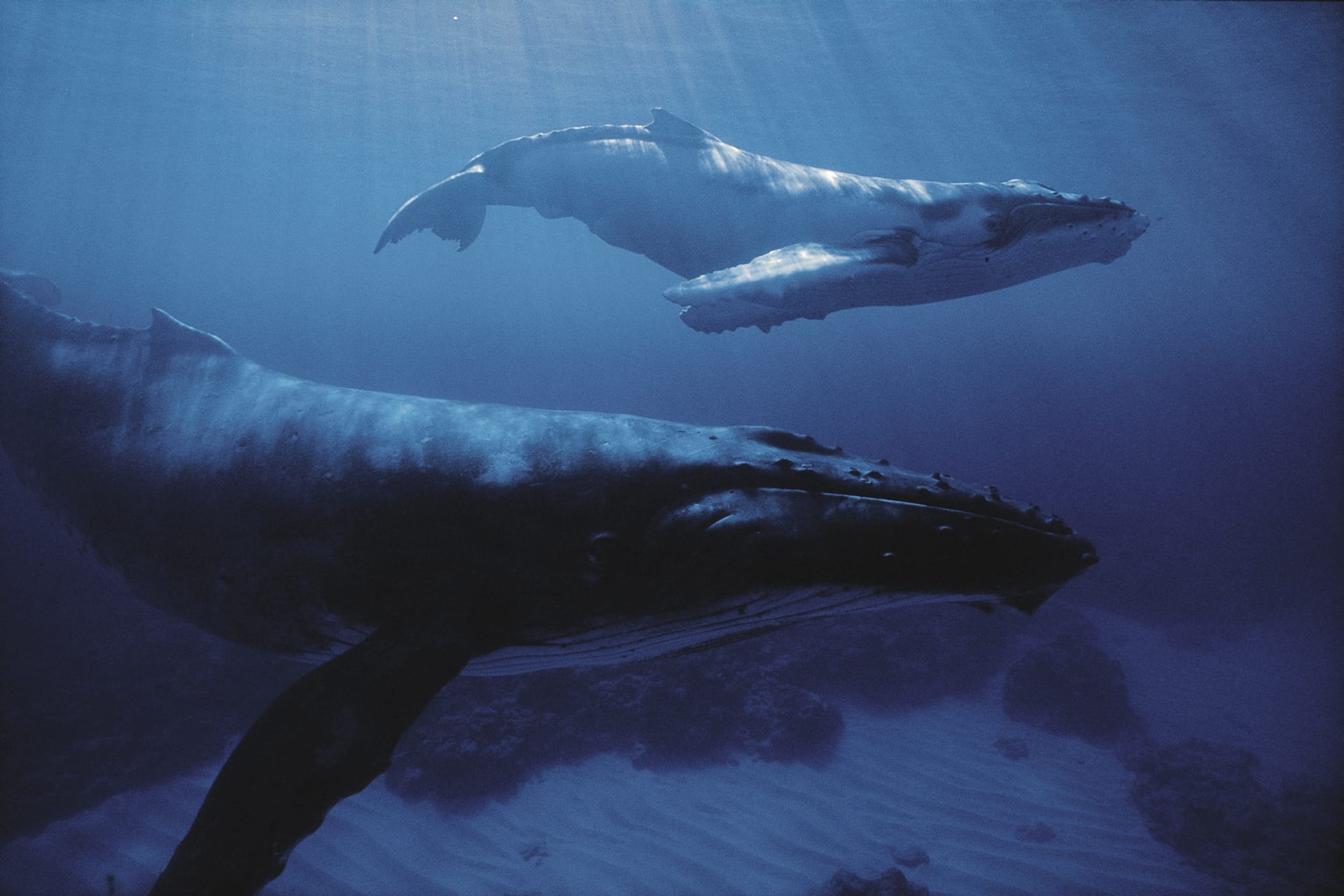 SPC_PPT_166_20101008_SS