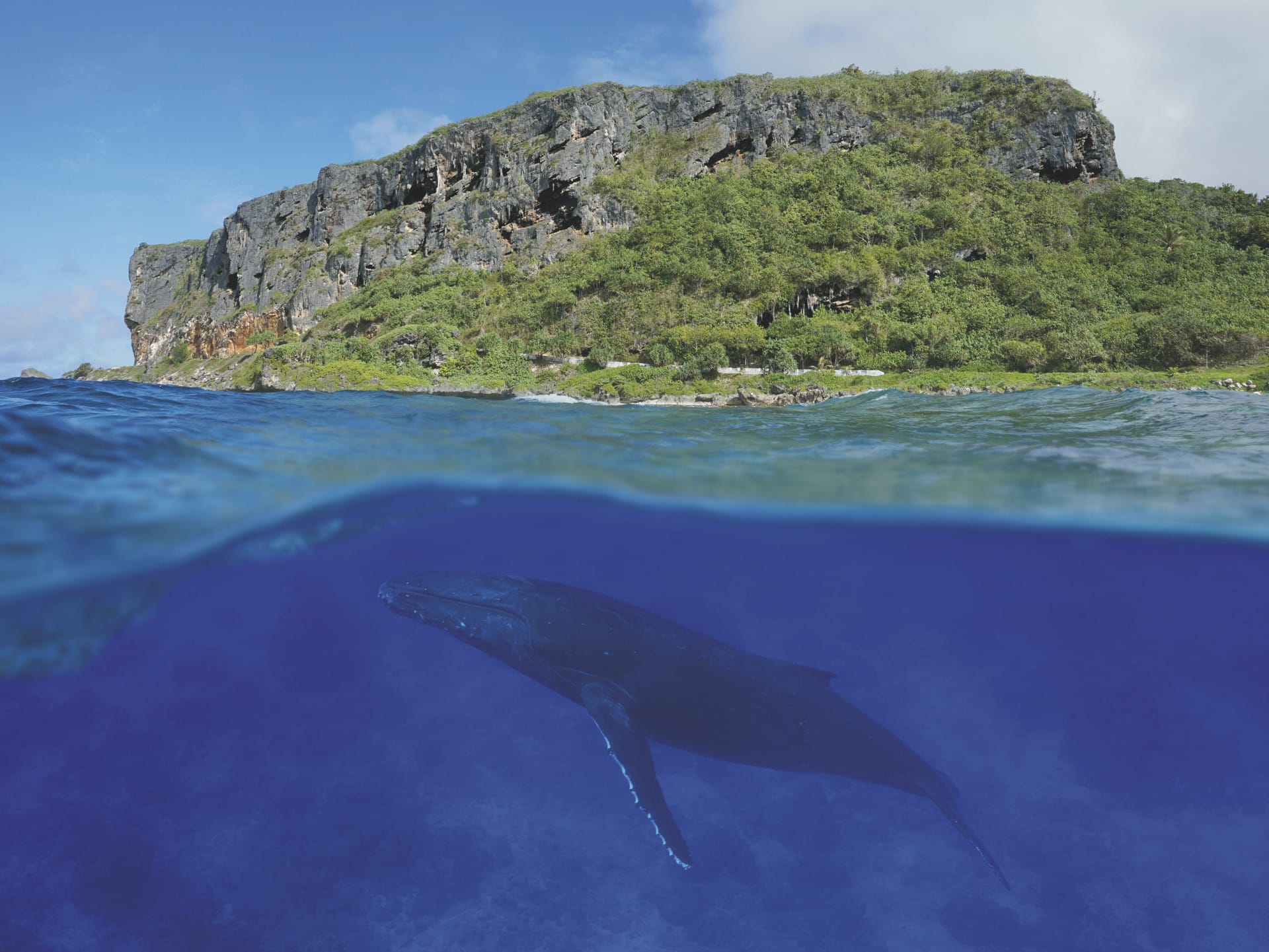 SPC_PPT_20180801_IW_8