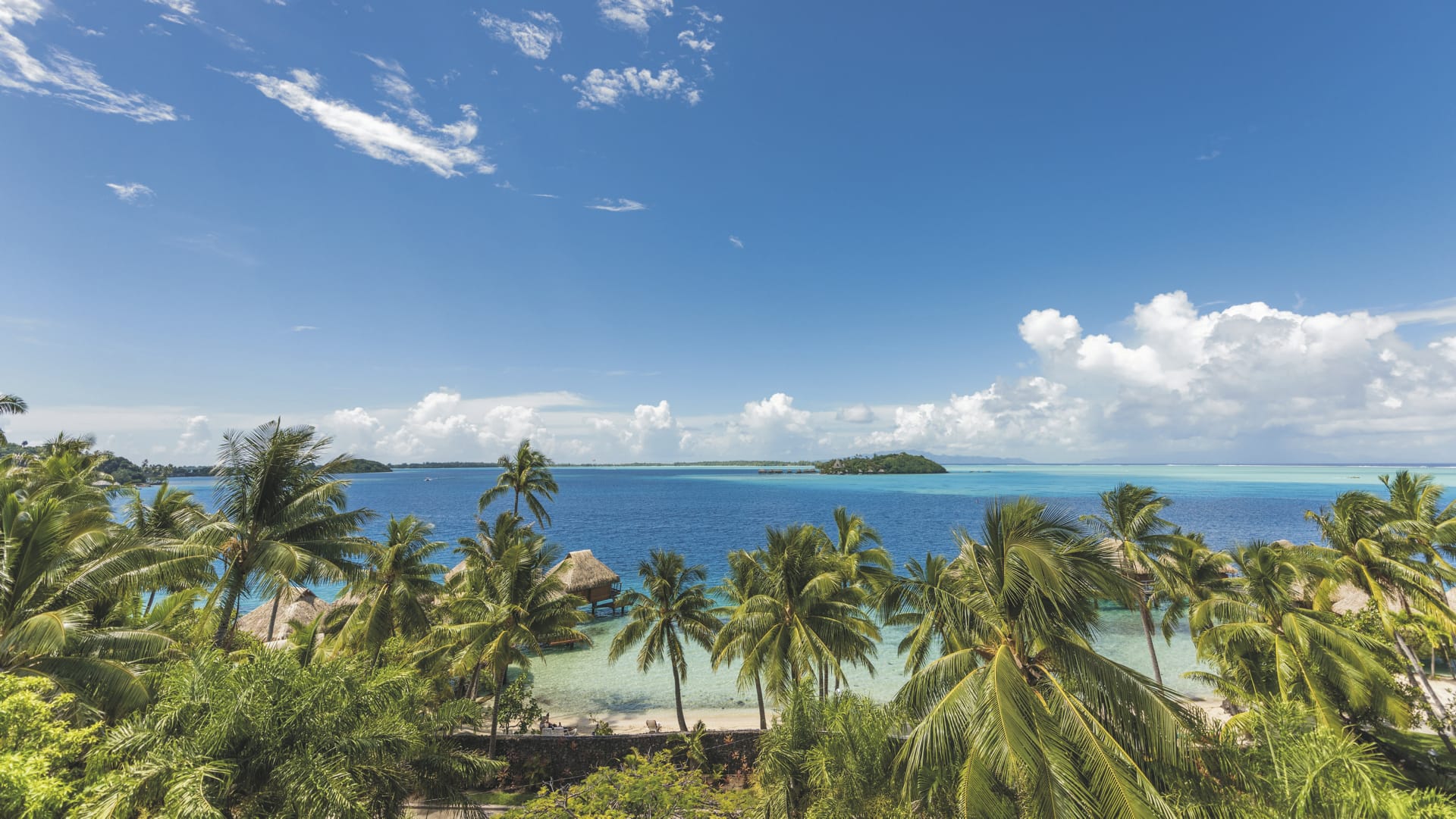 SPC_PPT_20180813-IW_12