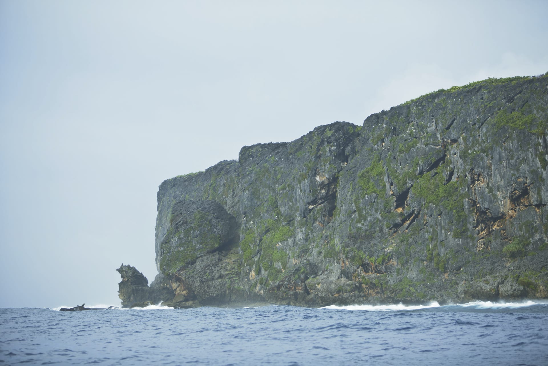 SPC_PPT_20180923_IW_1