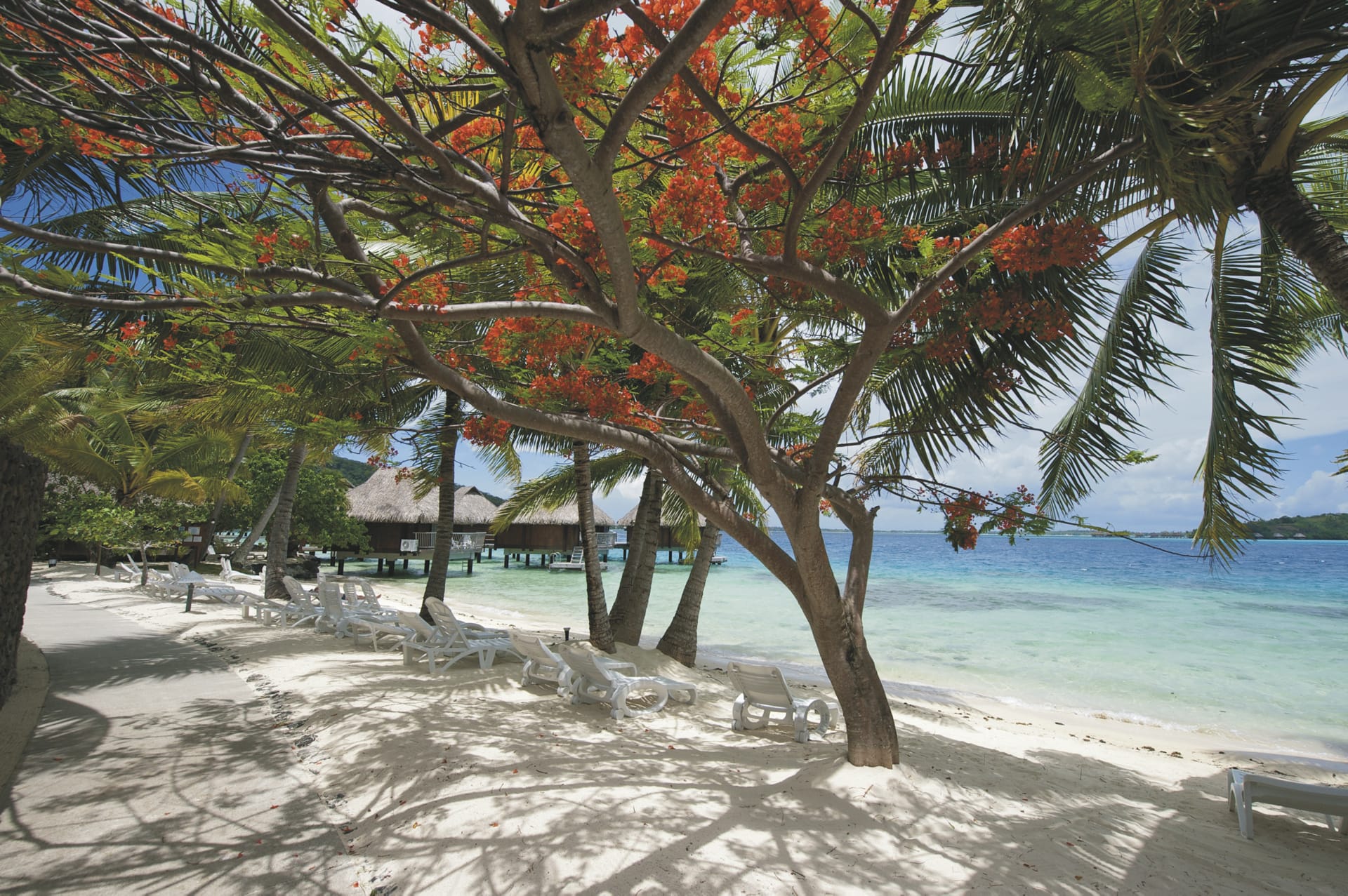 SPC_PPT_20190627_MR_6