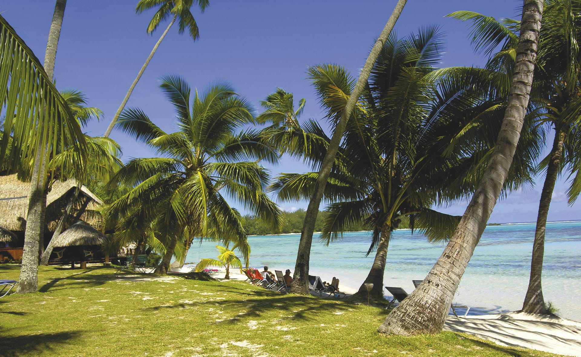 SPC_PPT_209_20090914_SS