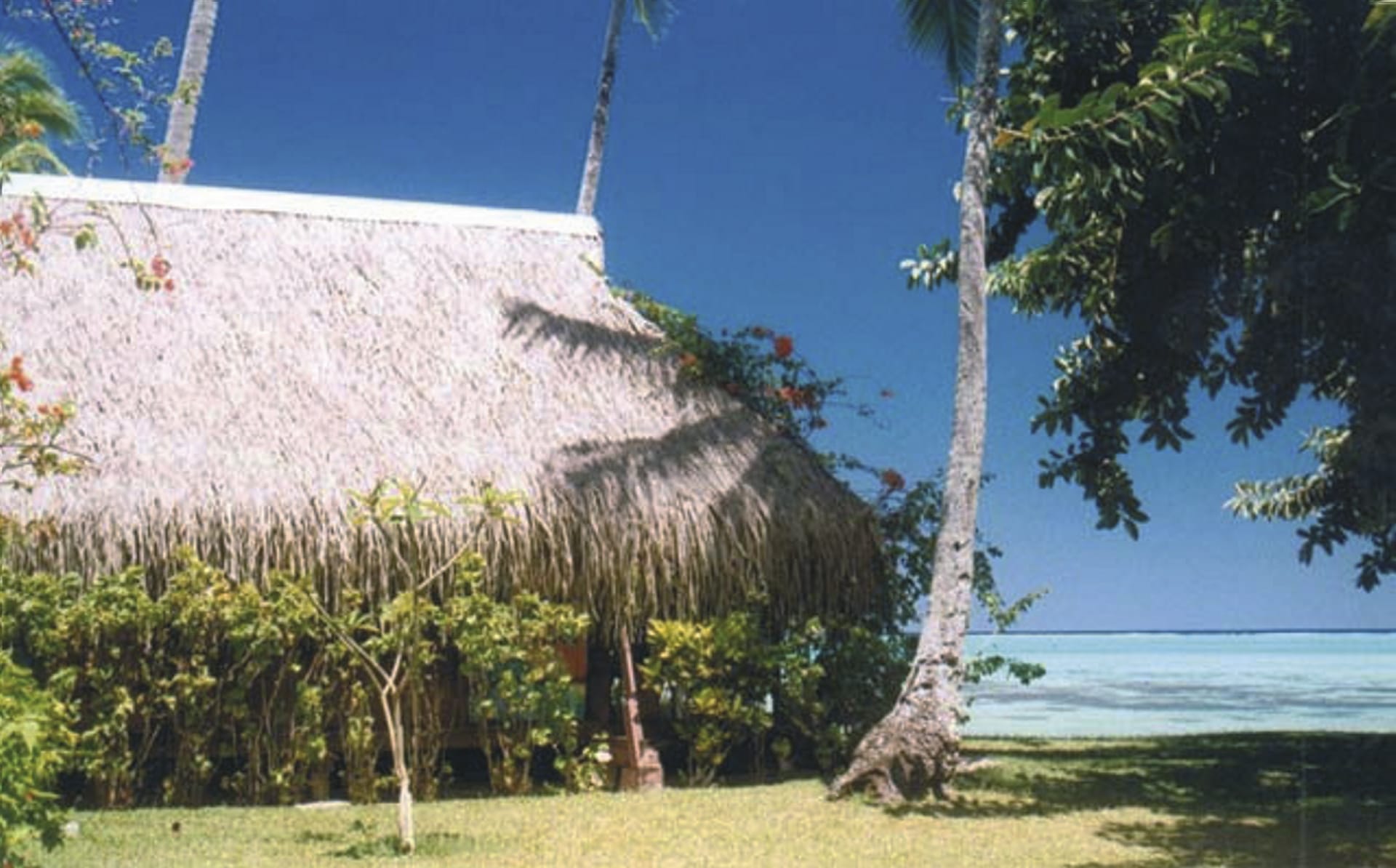 SPC_PPT_226_20070823_IVB