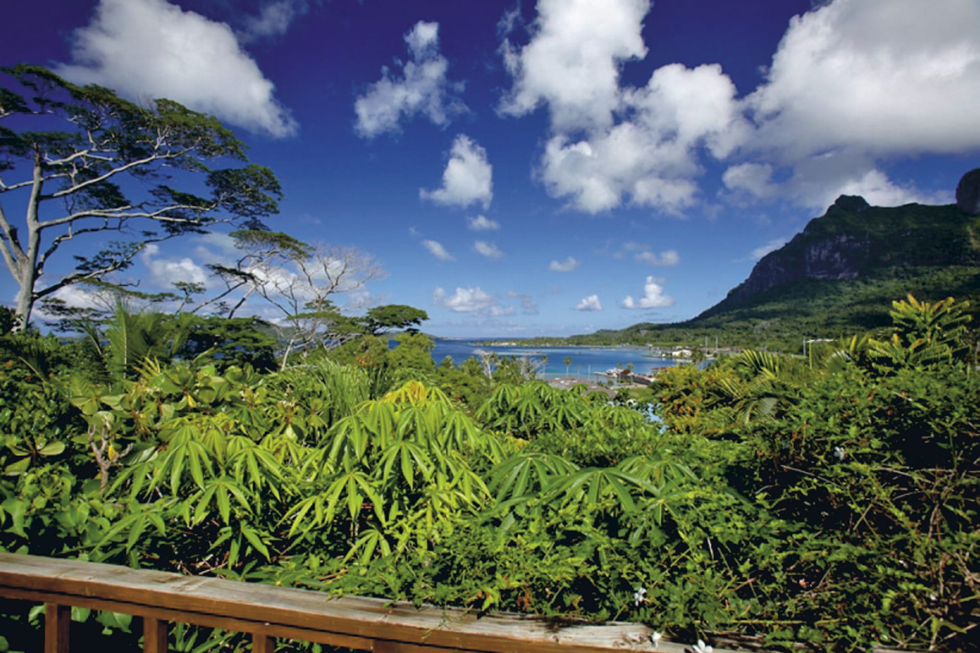 SPC_PPT_314_20120706_PP