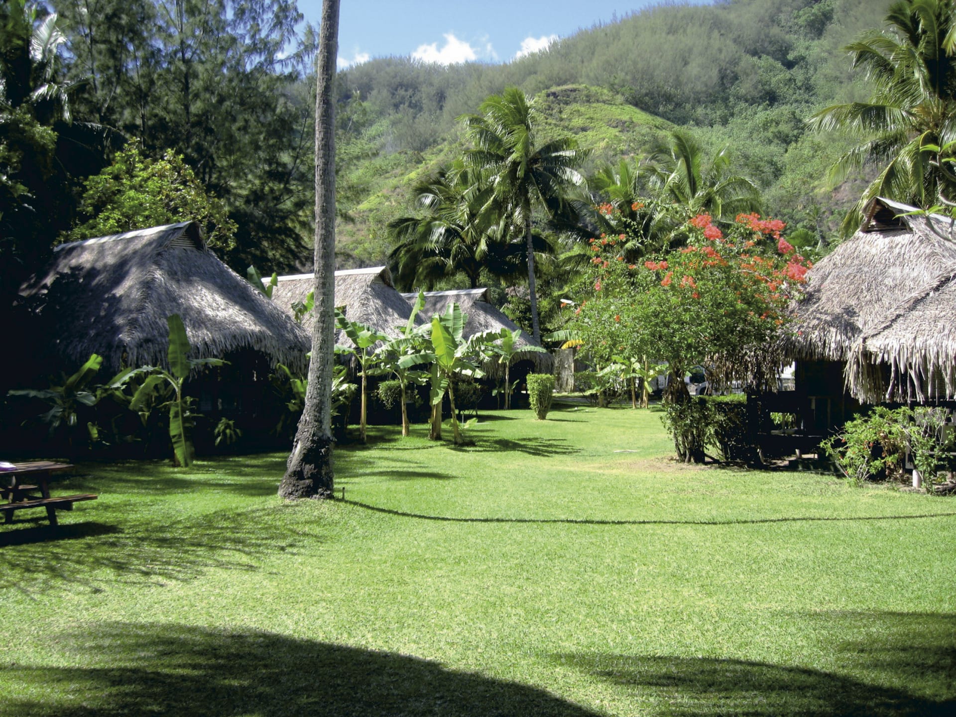 SPC_PPT_318_20120706_PP