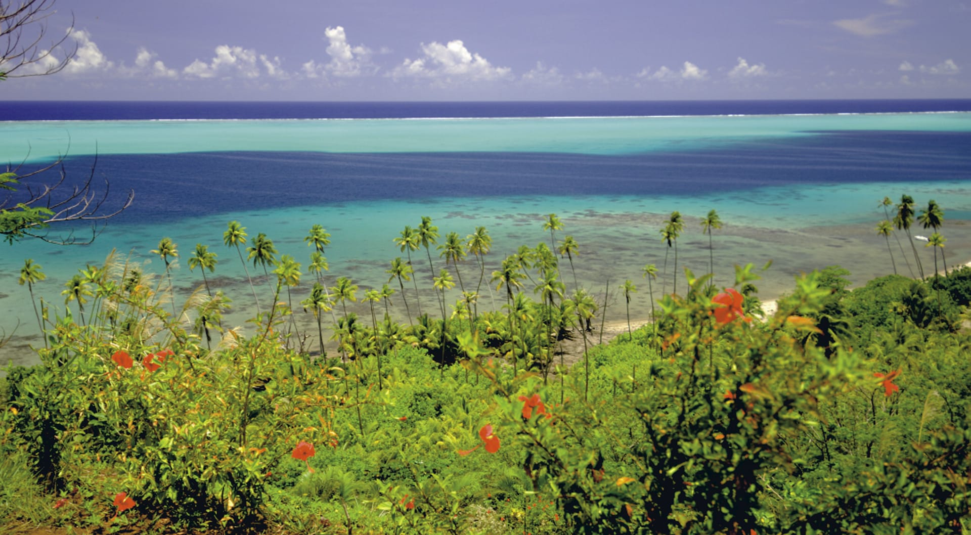 SPC_PPT_381_20120711_PP