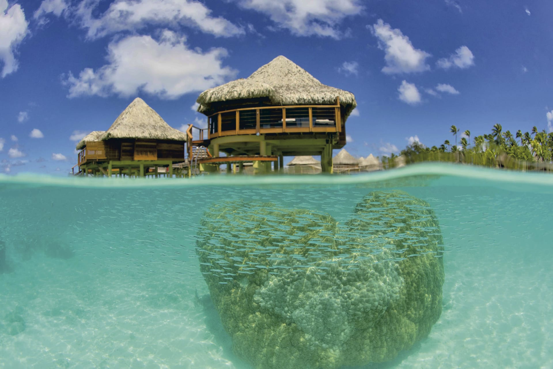 SPC_PPT_397_20131014_PP