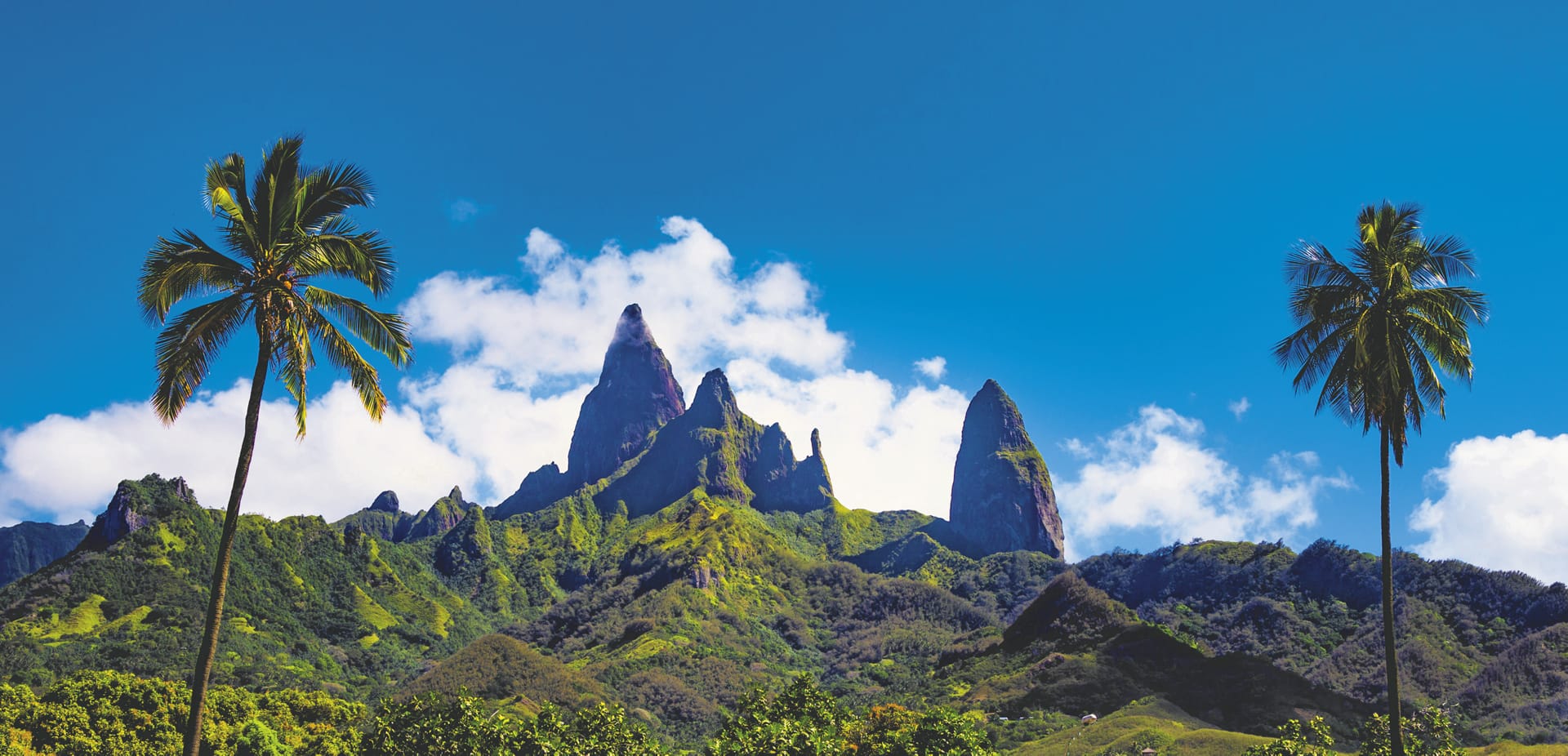 SPC_PPT_432_20170710_PP