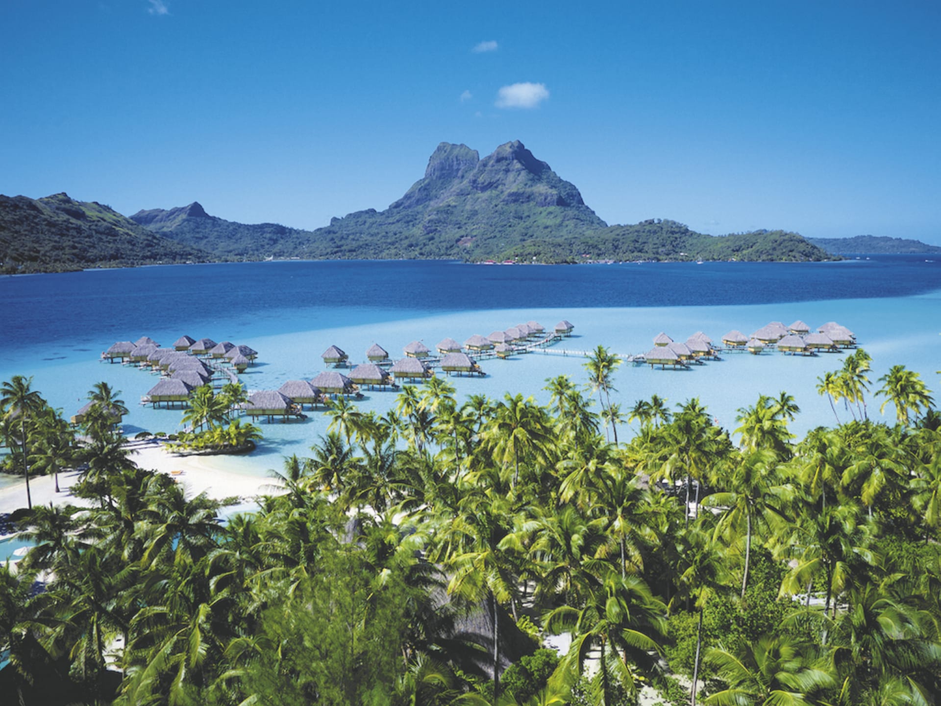 SPC_PPT_494_20160606_PP