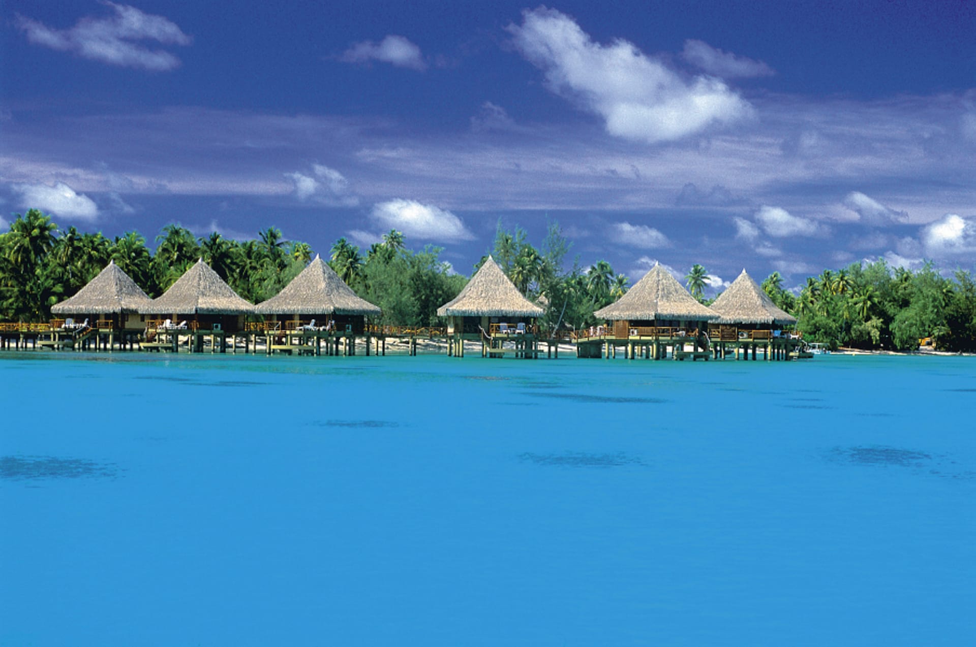 SPC_PPT_583_20120805_PP