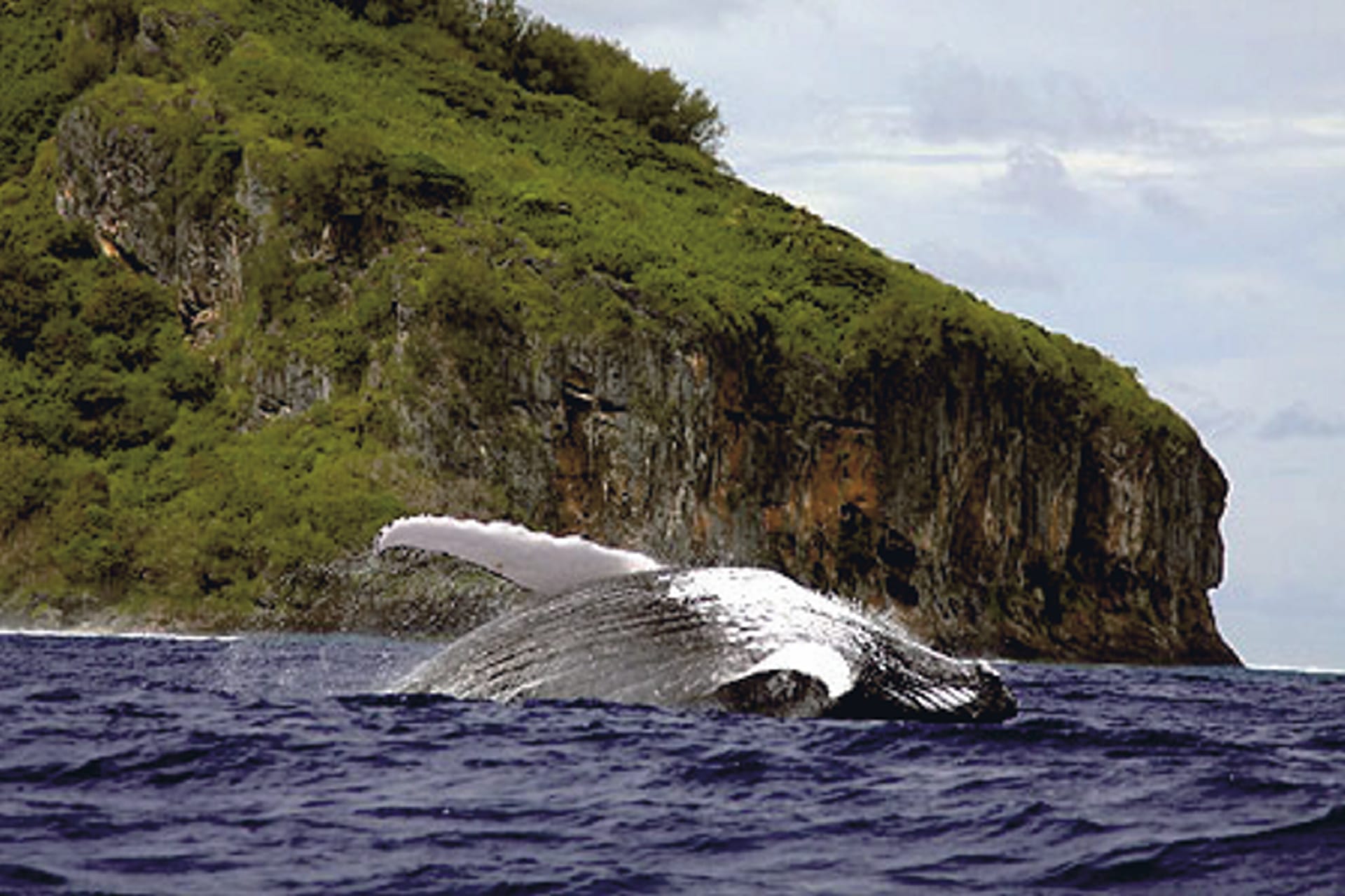 SPC_PPT_614_20120806_PP