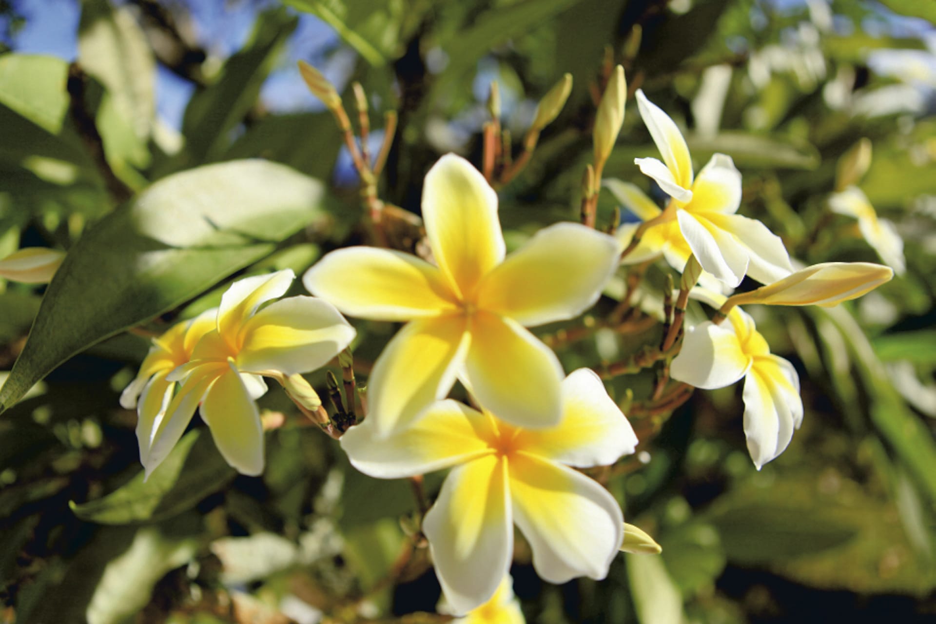 SPC_PPT_622_20120806_PP