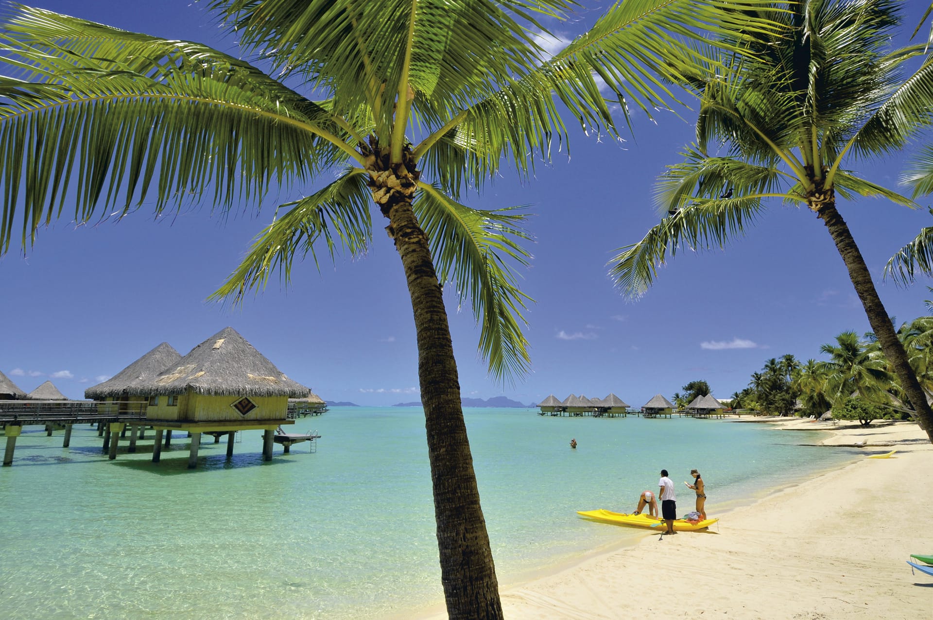 SPC_PPT_638_20120808_PP