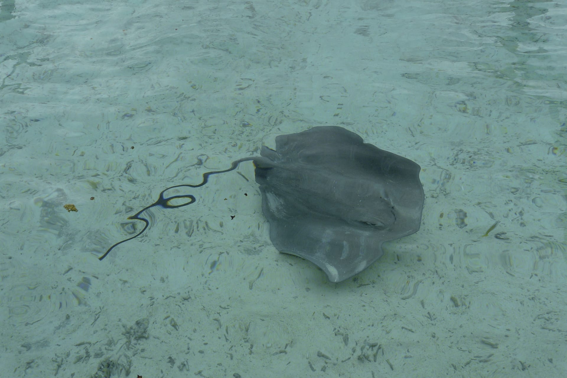 SPC_PPT_702_20120818_PP