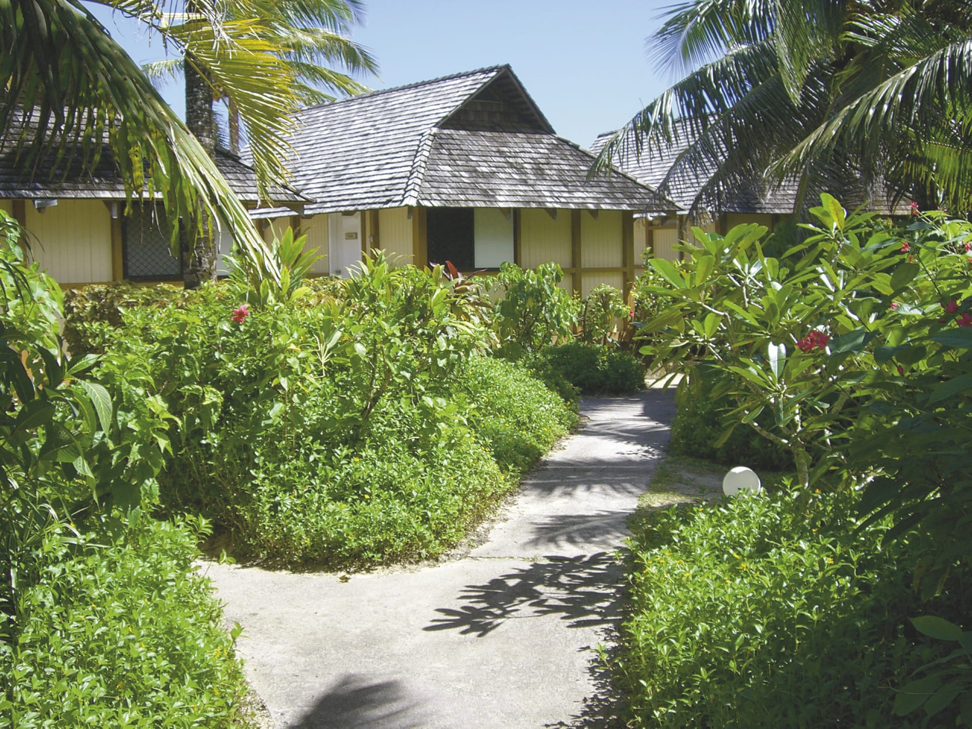 SPC_RAR_003_20080908_IVB