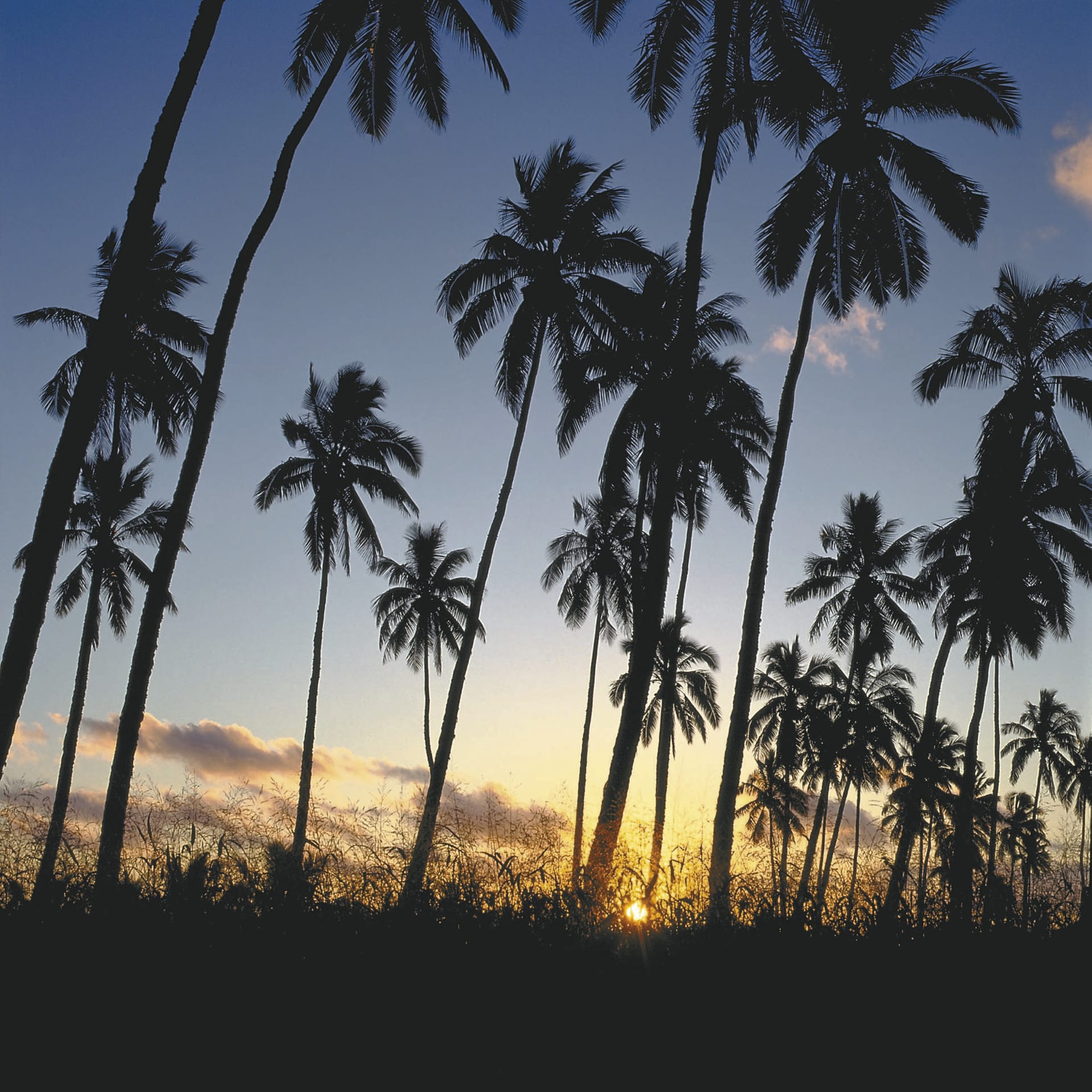 SPC_RAR_005_20070313_BR