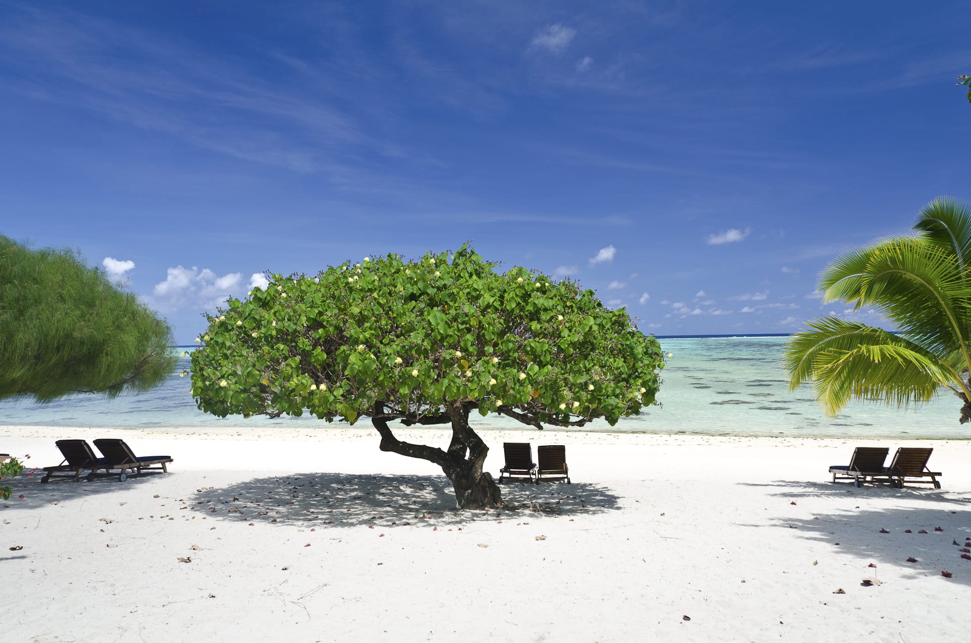 SPC_RAR_076_20140722_PP