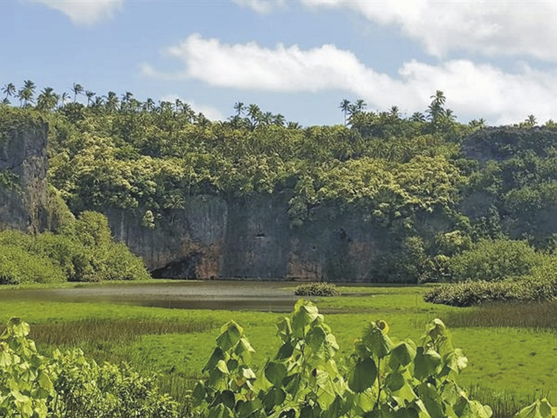 SPC_RAR_20181909_IW_1_1