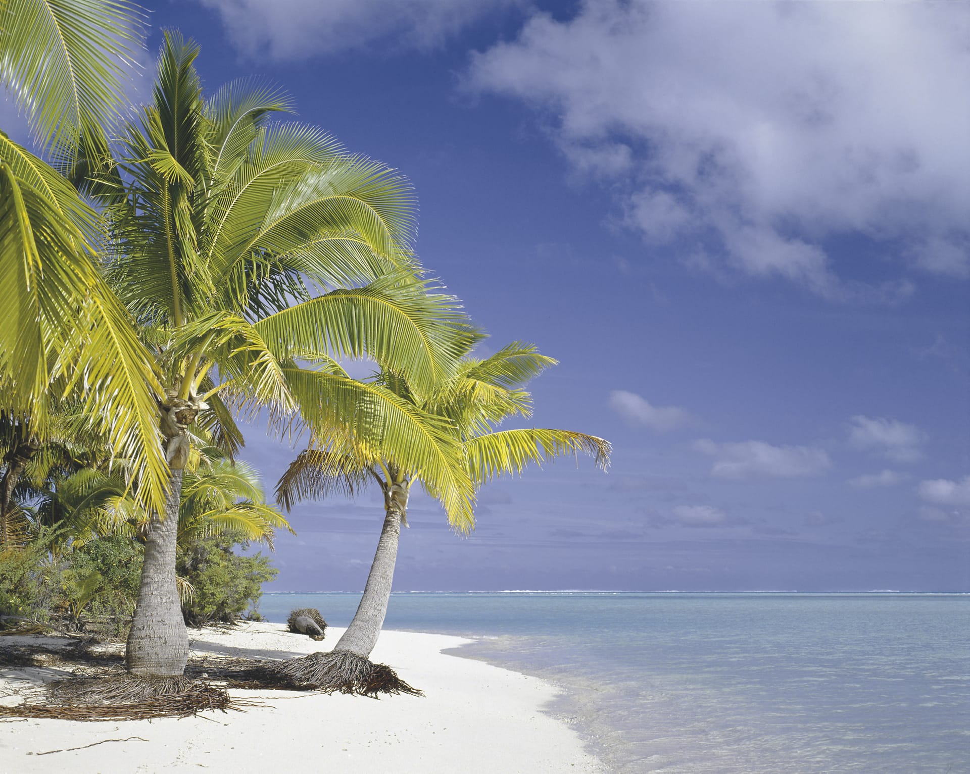 SPC_RAR_319_20071024_IVB