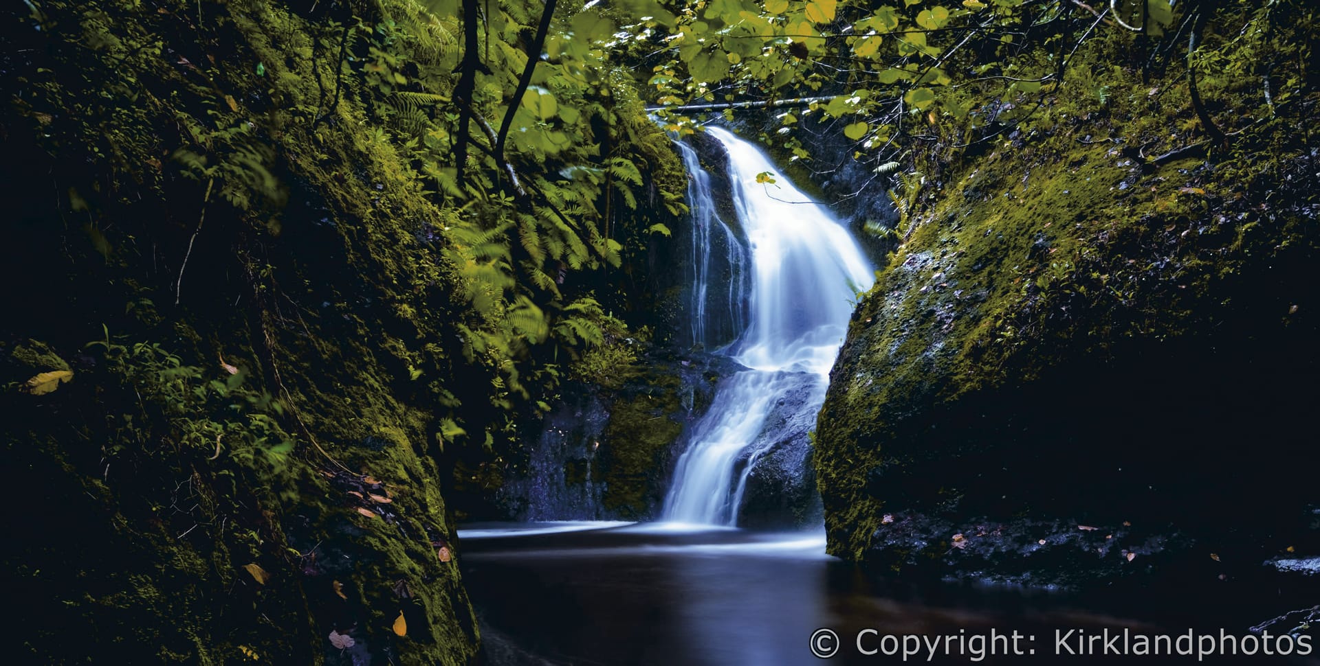 SPC_RAR_431_20120718_PP