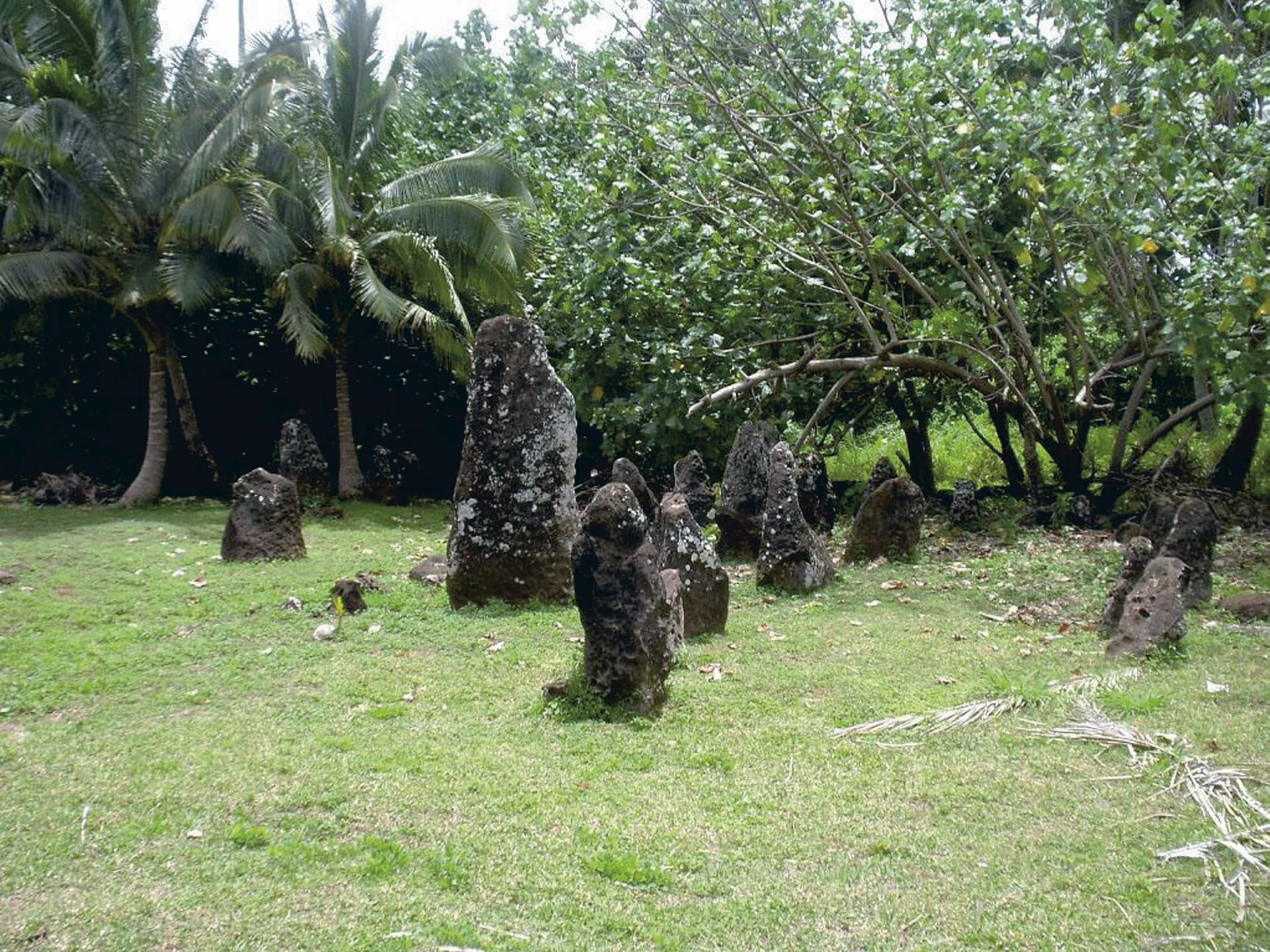 SPC_RAR_591_20120806_PP