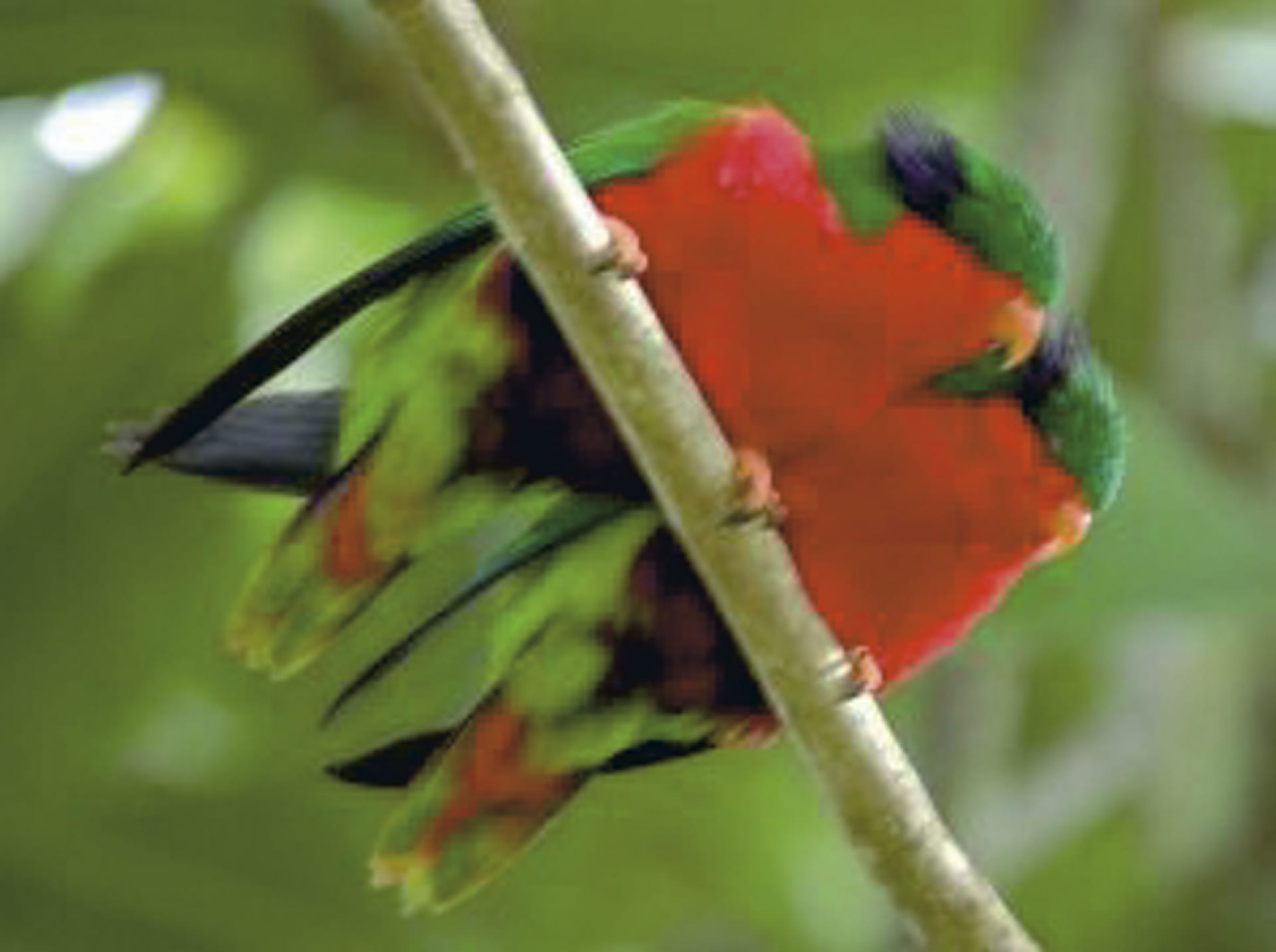 SPC_RAR_606_20120806_PP