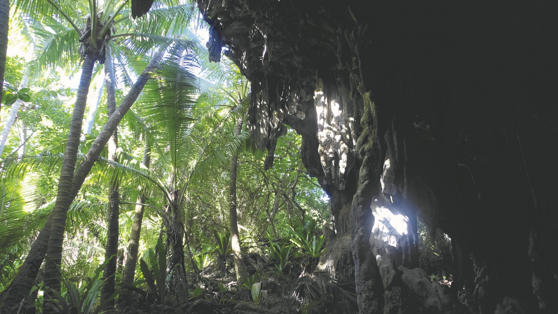 SPC_RAR_863_20170804_PP