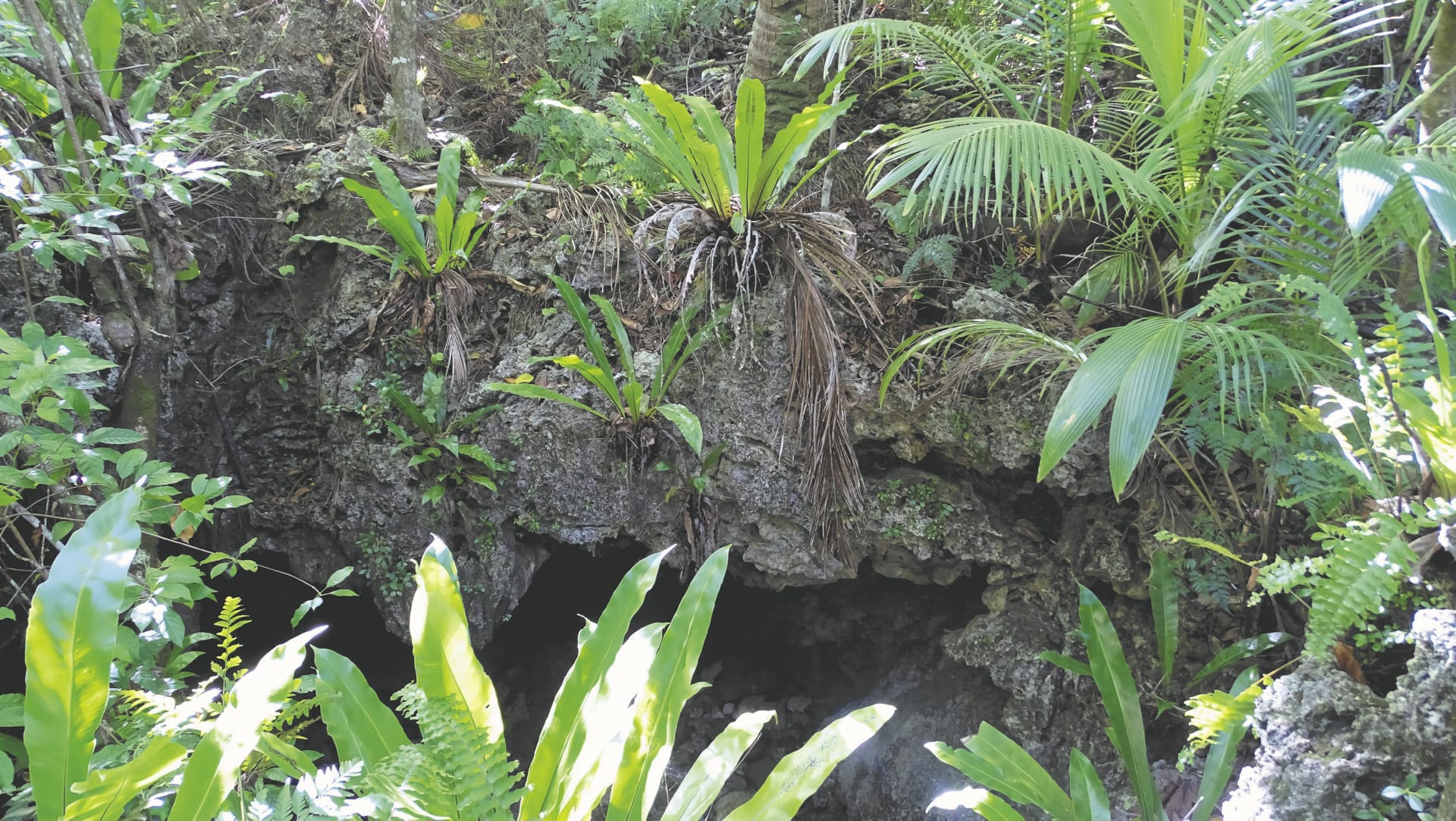 SPC_RAR_864_20170804_PP