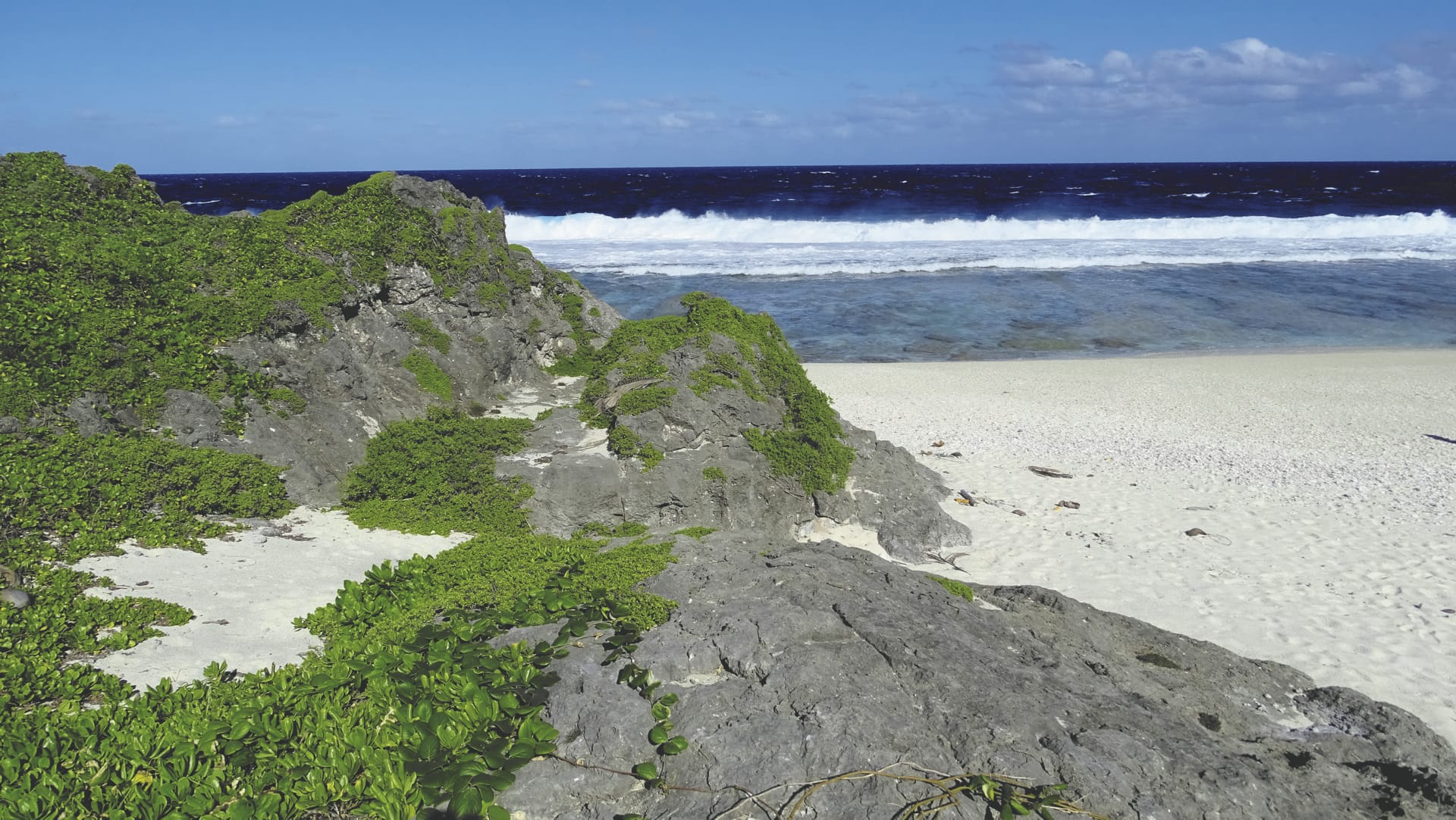 SPC_RAR_866_20170804_PP