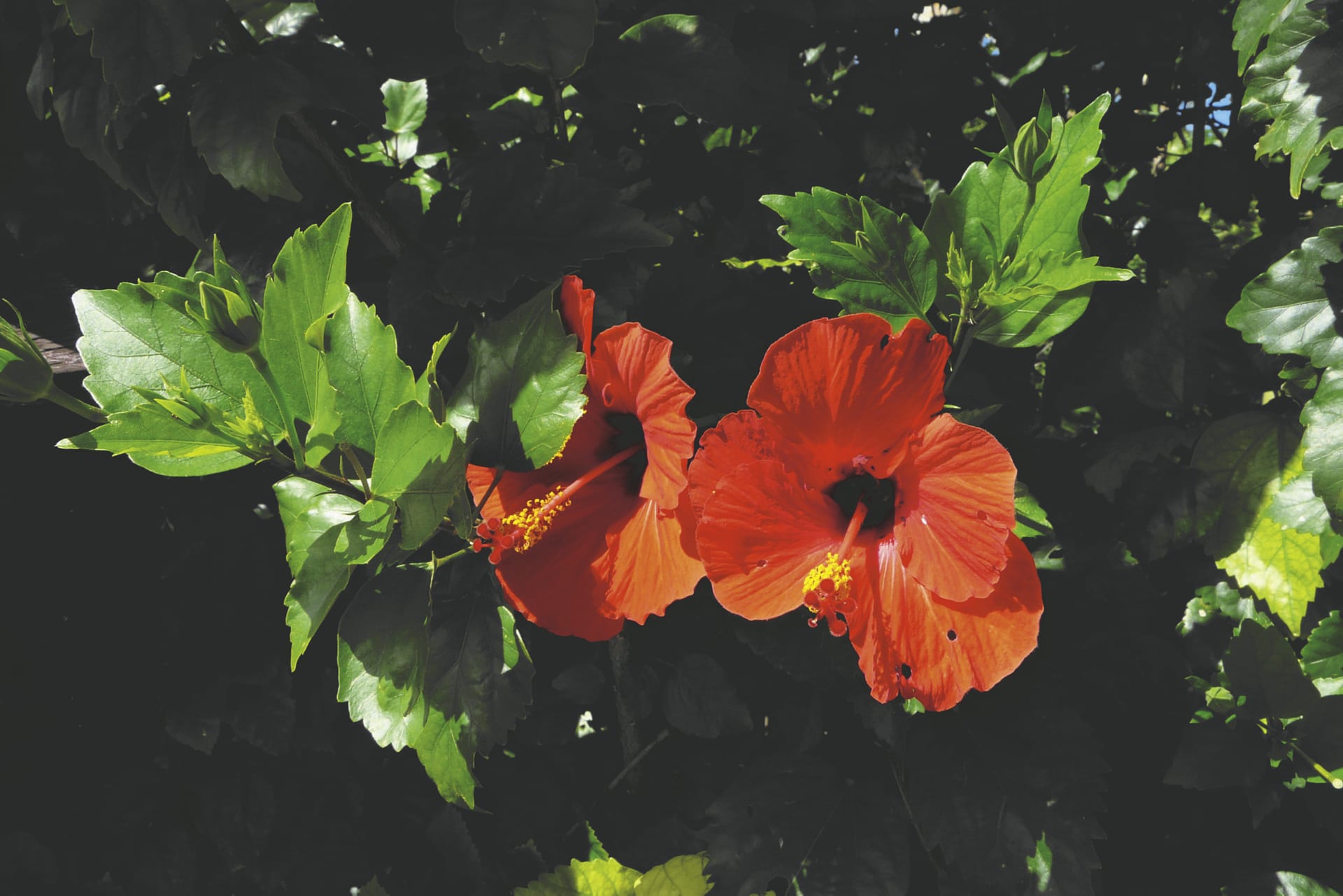 SPC_TBU_013_20150801_PP