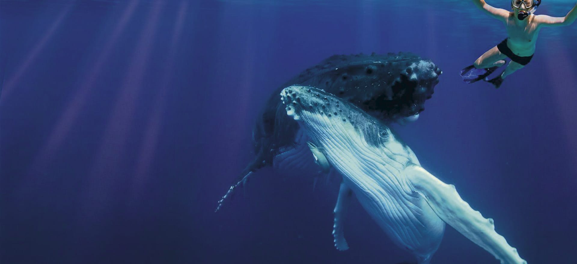 SPC_TBU_906_20121007_PP