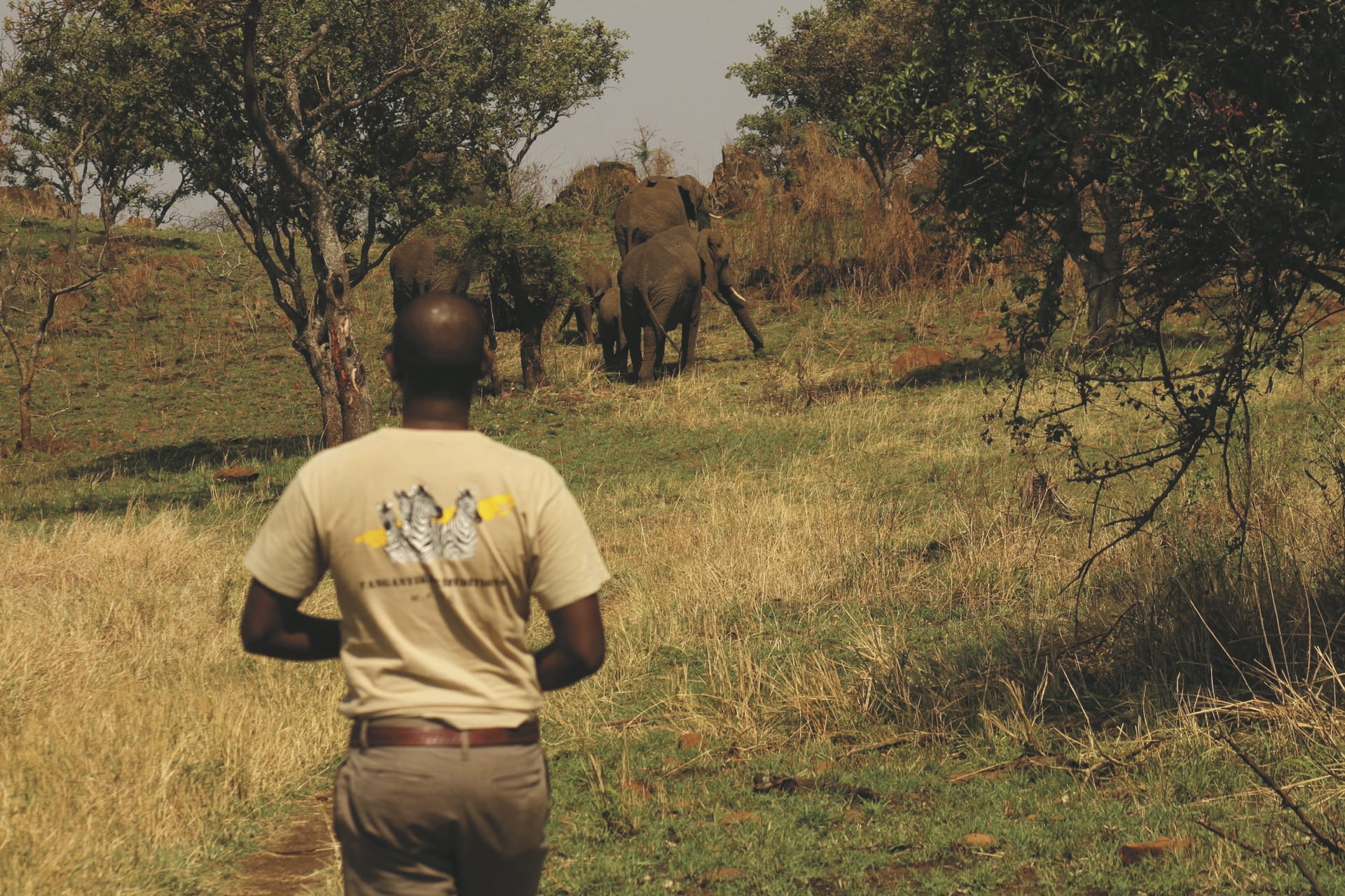 TAZ_20200917_YF.JPG_4