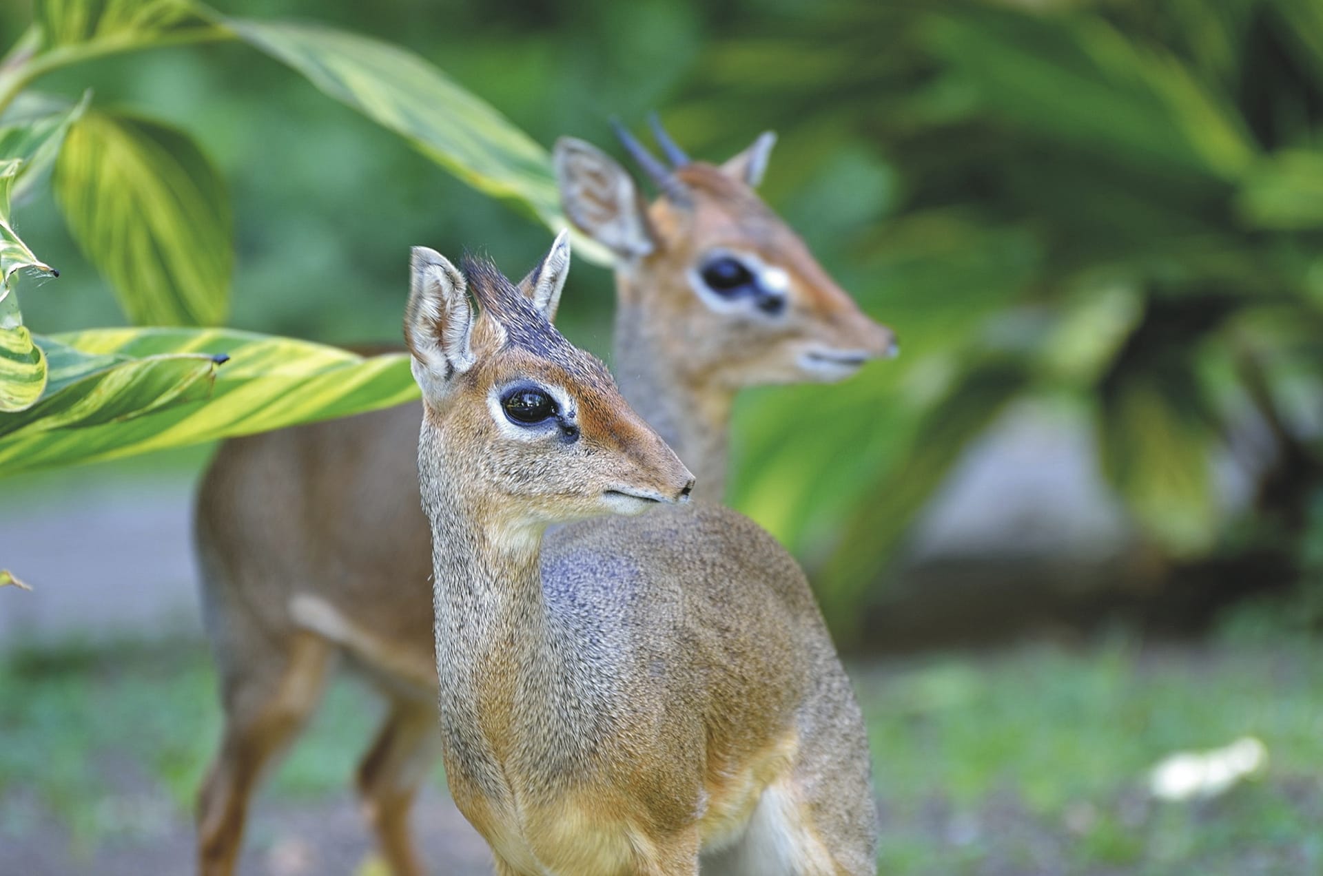 TAZ_20200917_YF.JPG_5