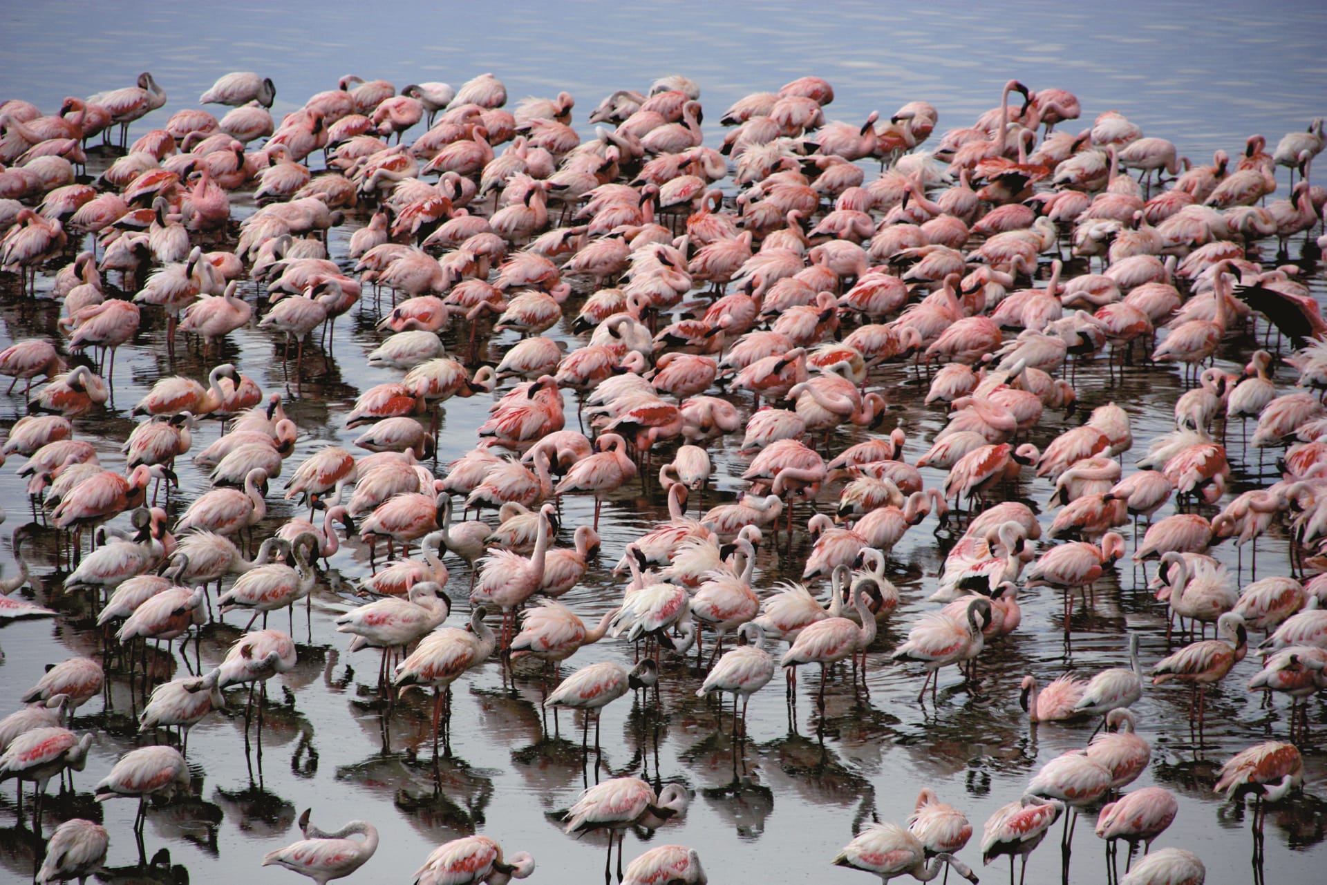 TAZ_DIV_065_20150616_DIA