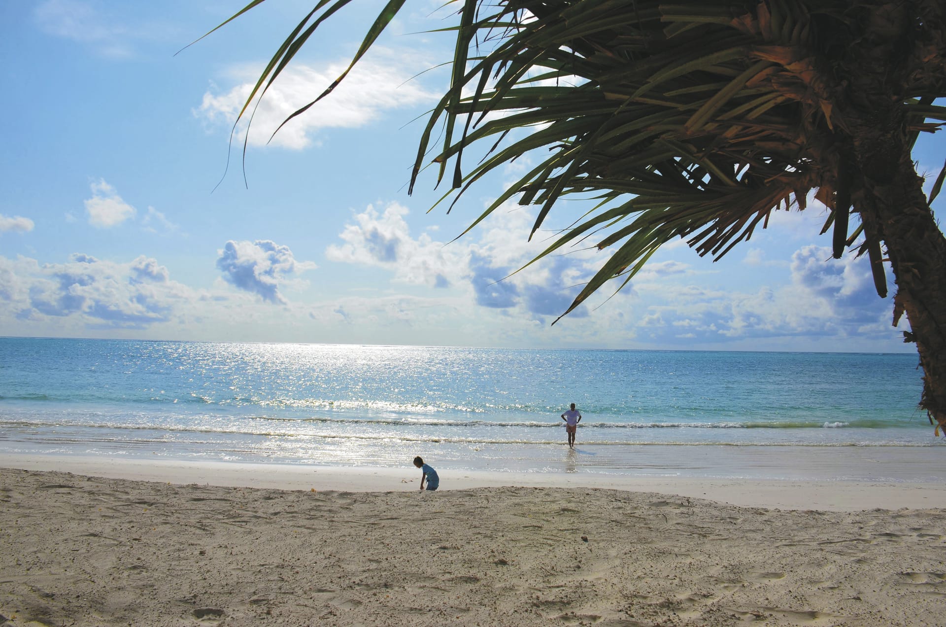 TAZ_Indigo_Beach_Zanzibar_Lazy_beach_day_20220119