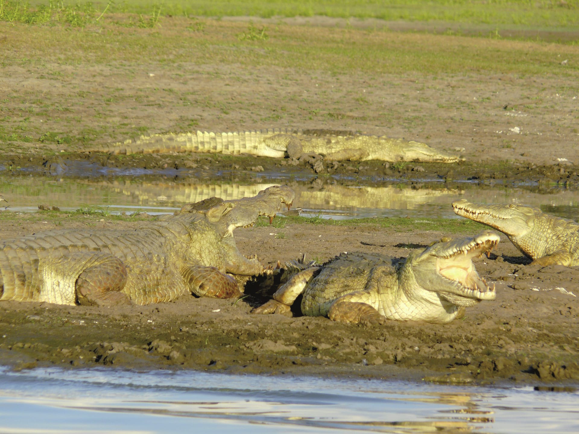 TAZ_REG_00001_20170609_DIA