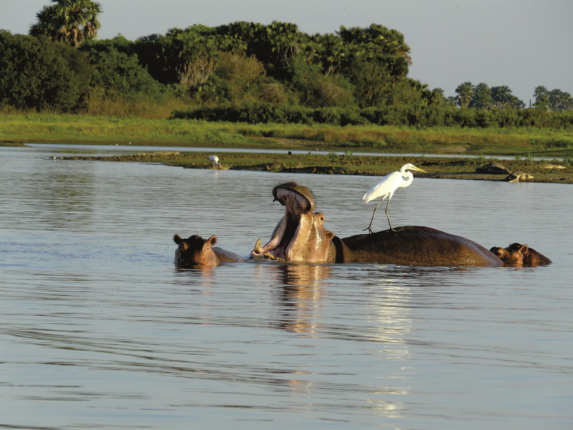 TAZ_REG_001_20170609_DIA