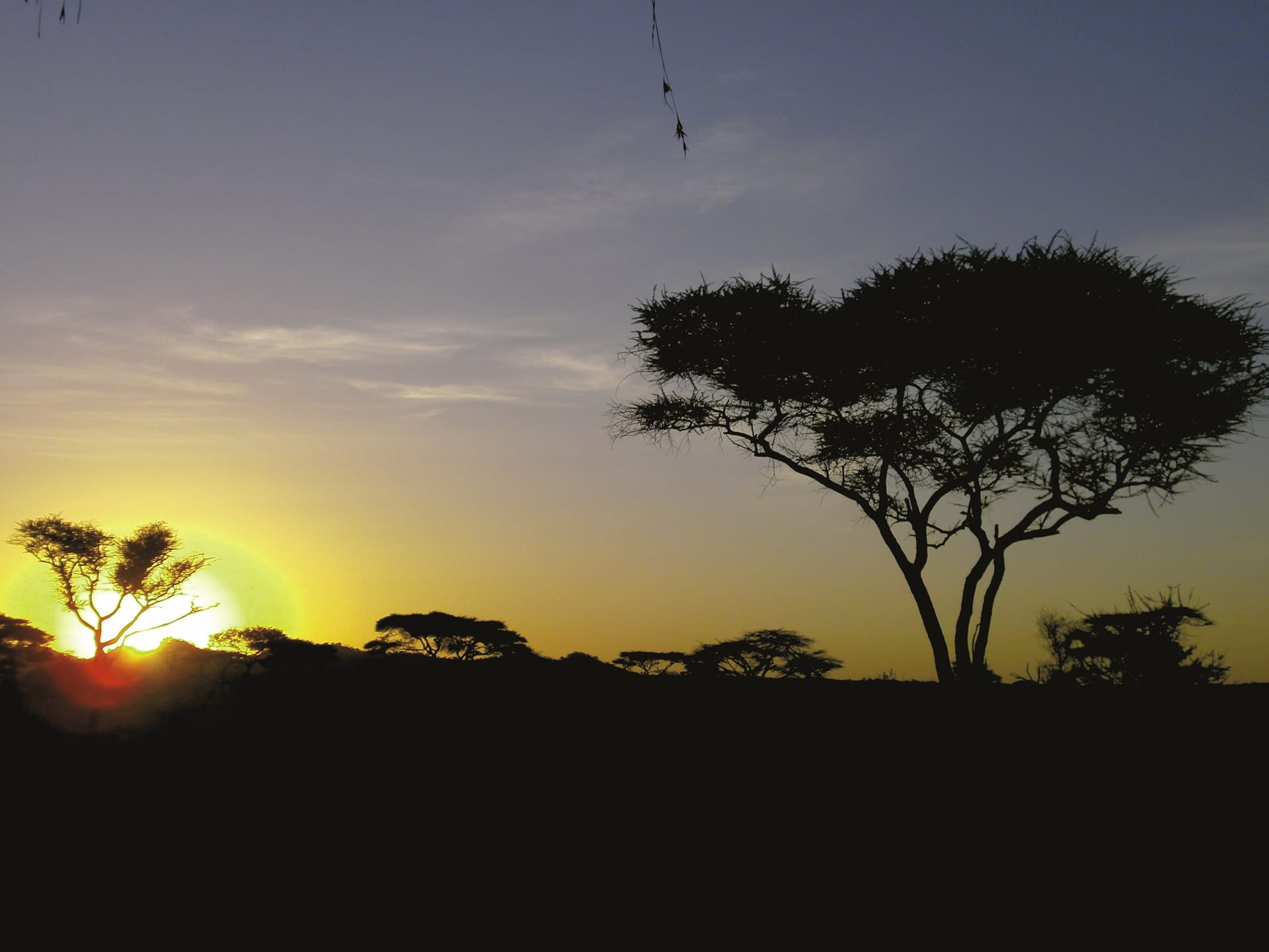 TAZ_REG_002_20130716_DIA