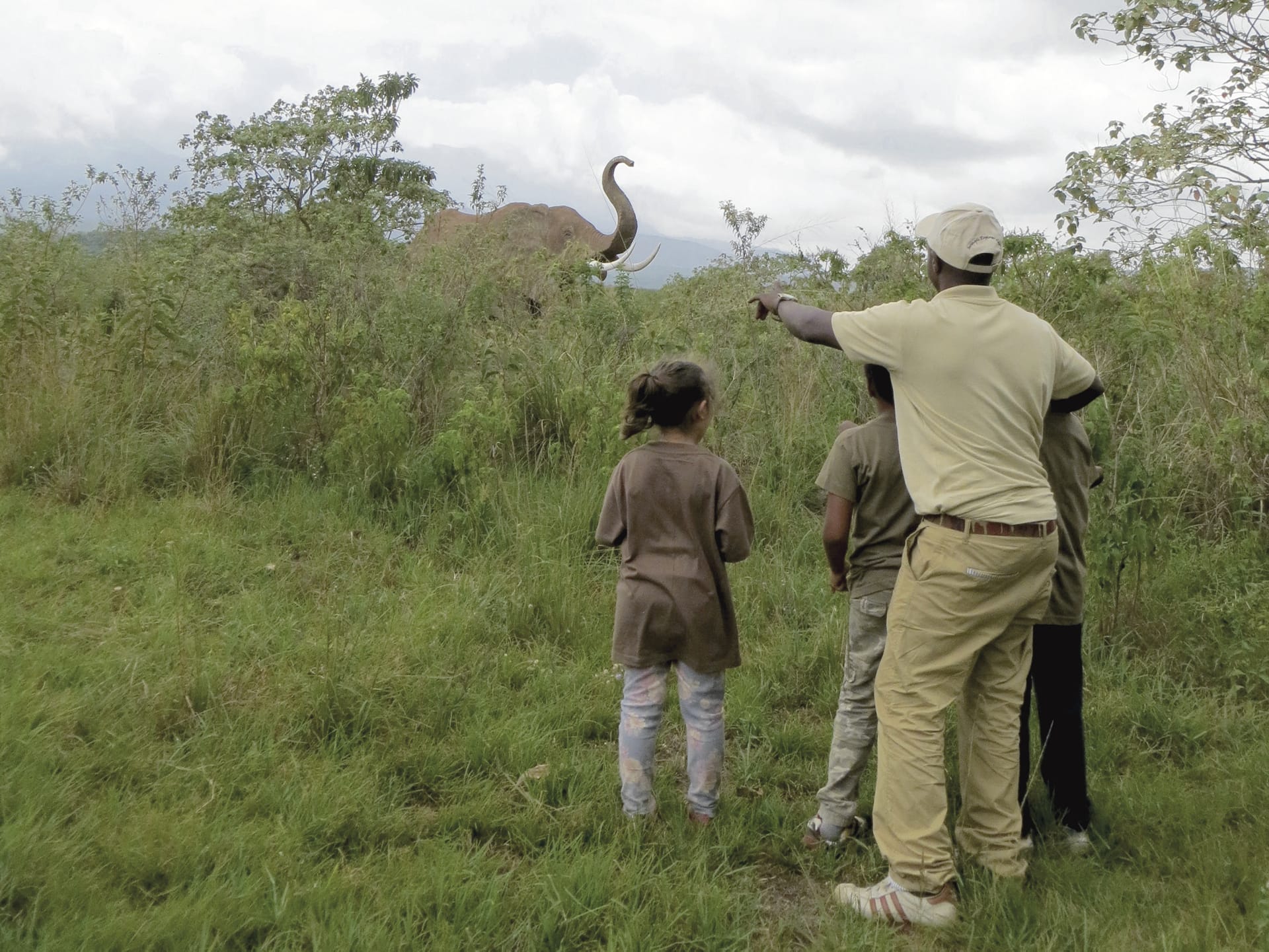 TAZ_REG_003_20160728_ss