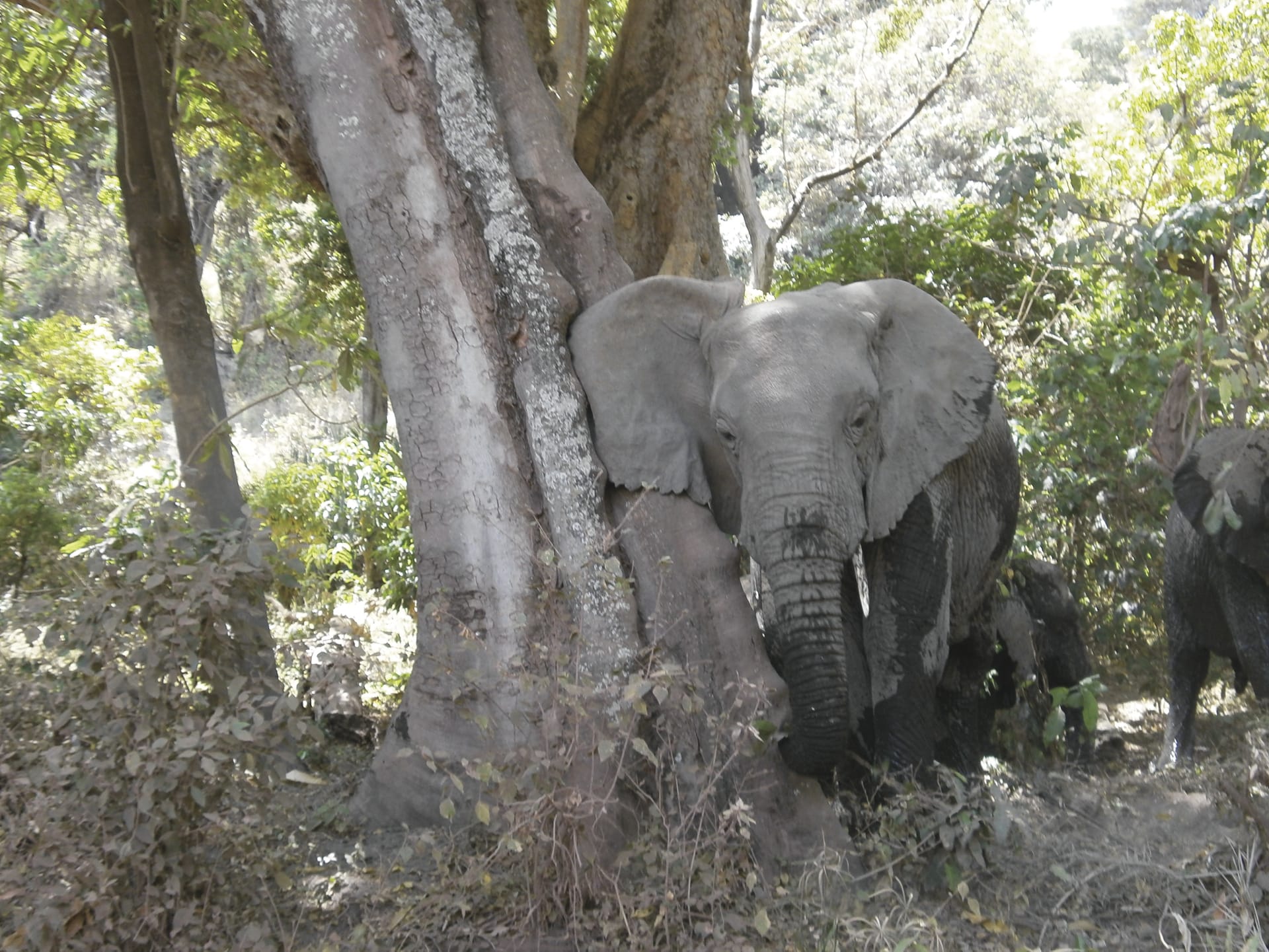 TAZ_REG_004_20130716_DIA