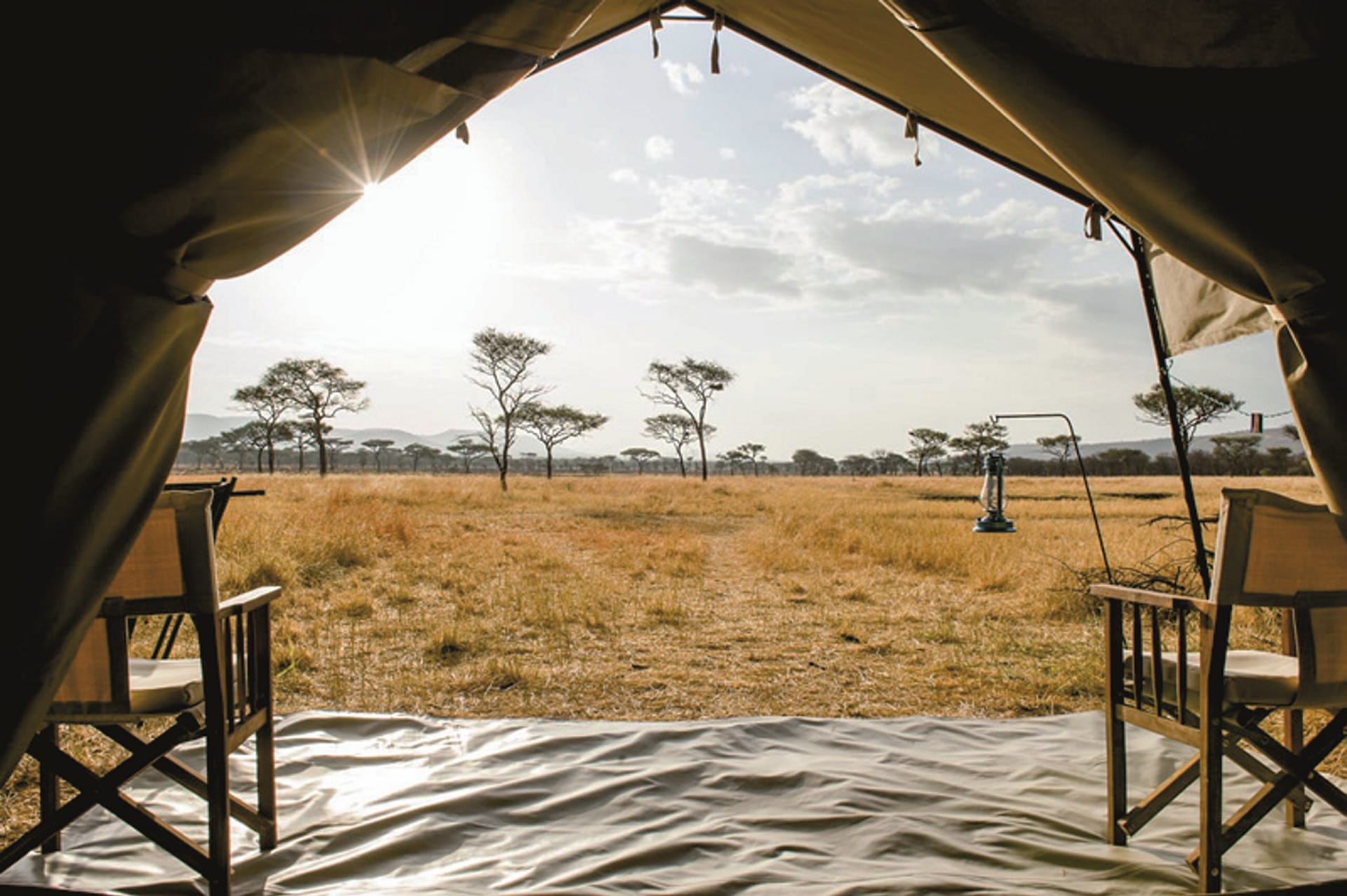 TAZ_REG_008_20140811_DIA