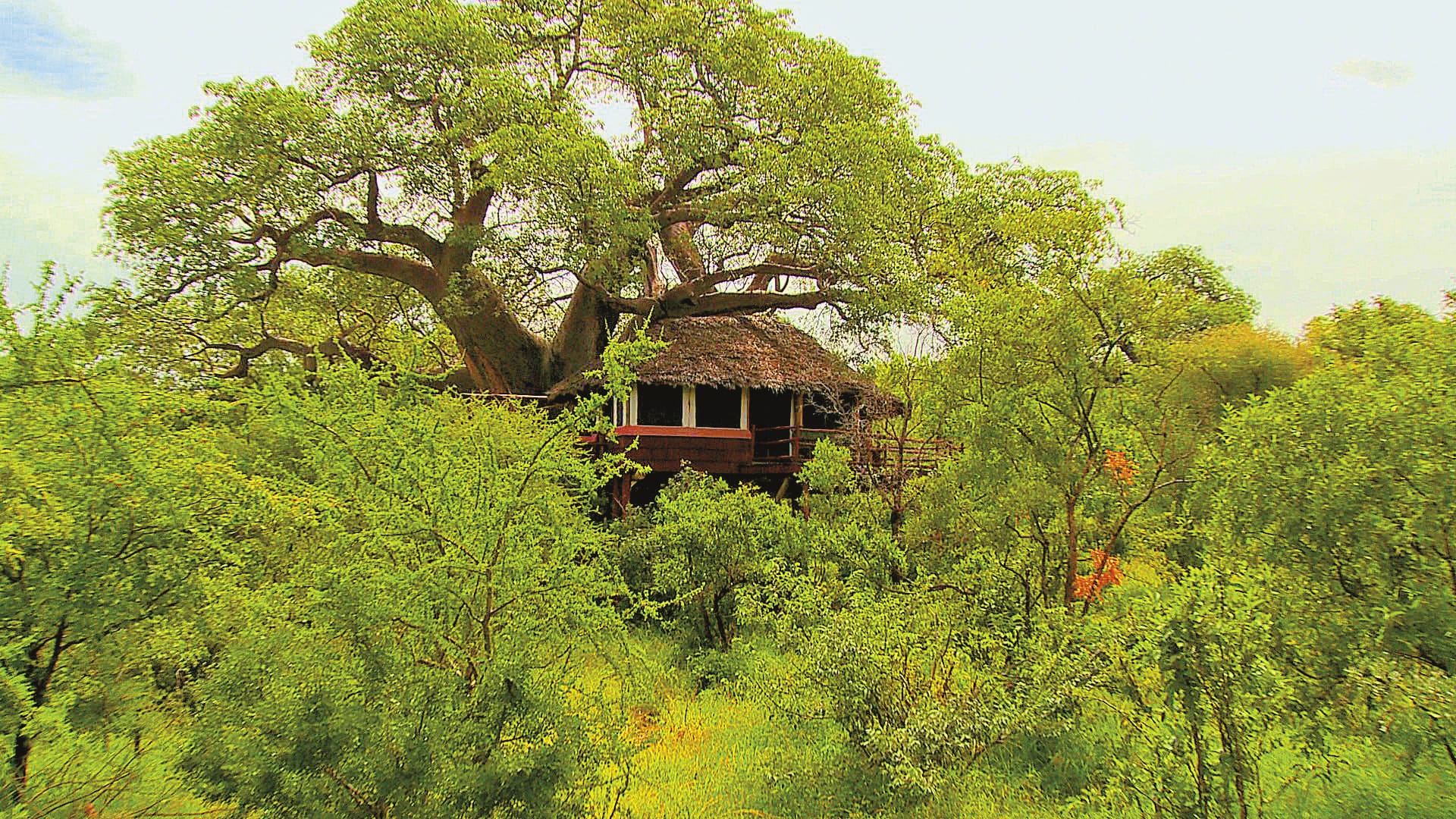 TAZ_REG_010_20170616_DIA