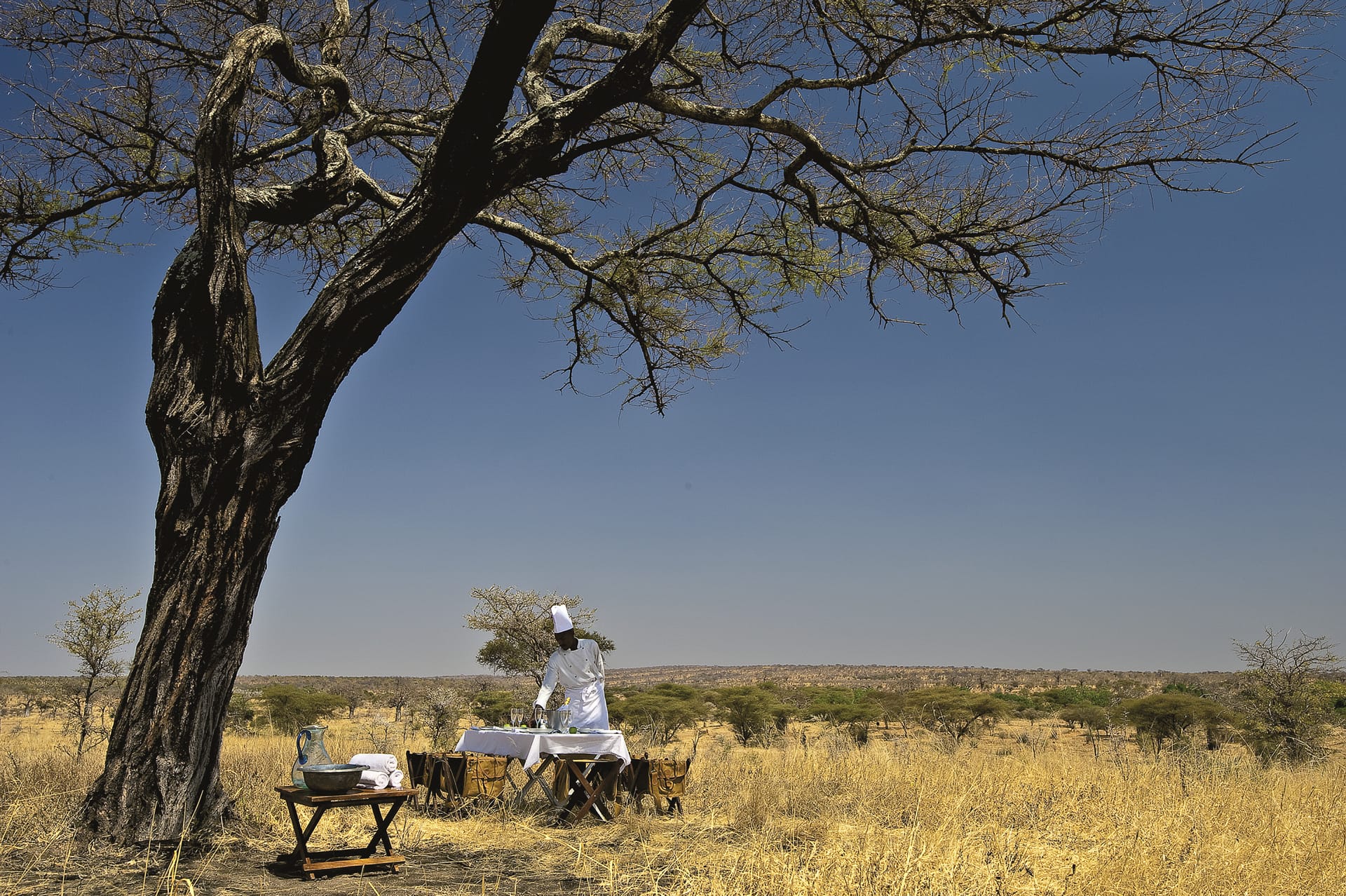 TAZ_REG_015_20170616_DIA